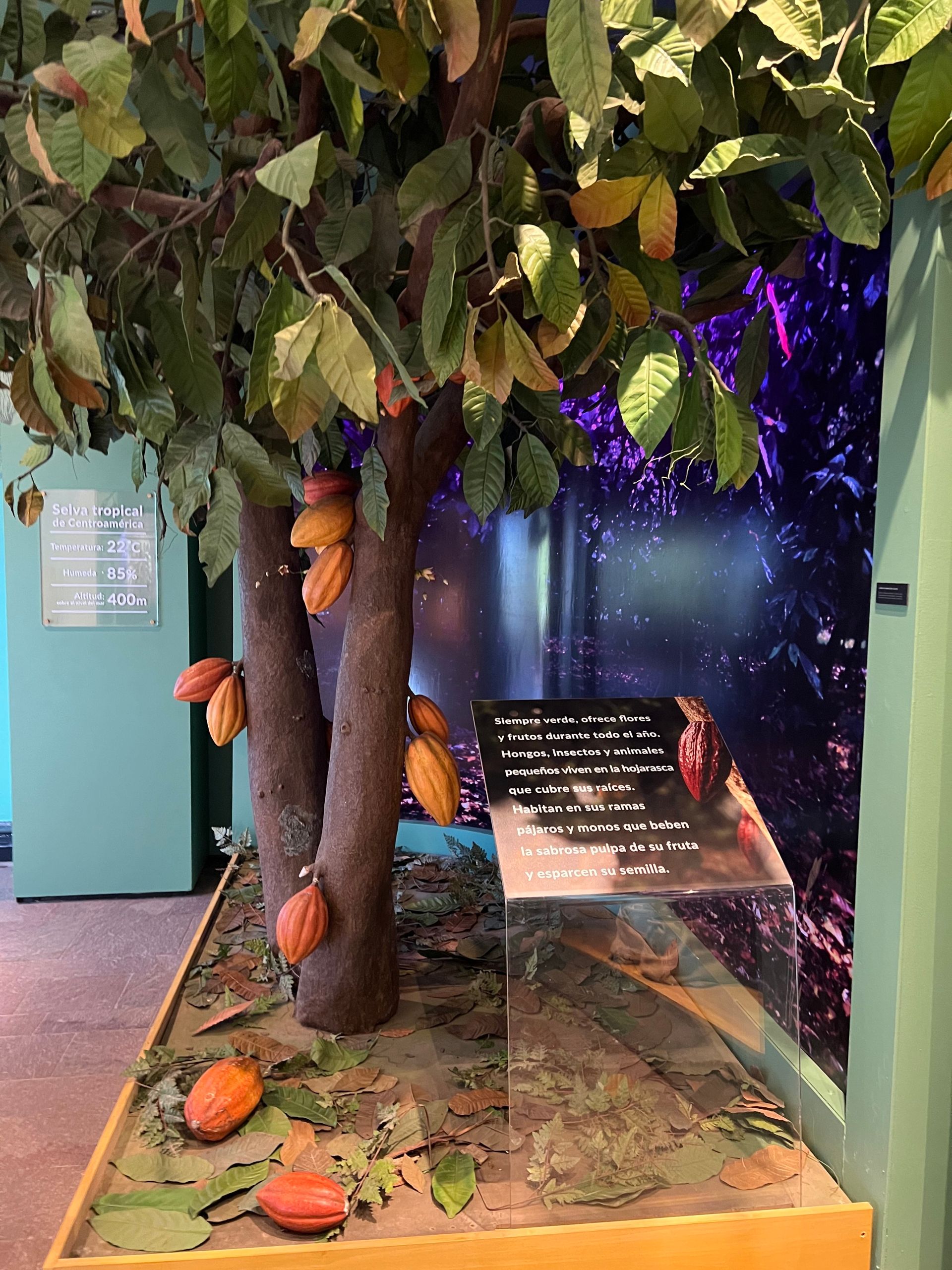 O que fazer em Bariloche no inverno com crianças - 20 - 2