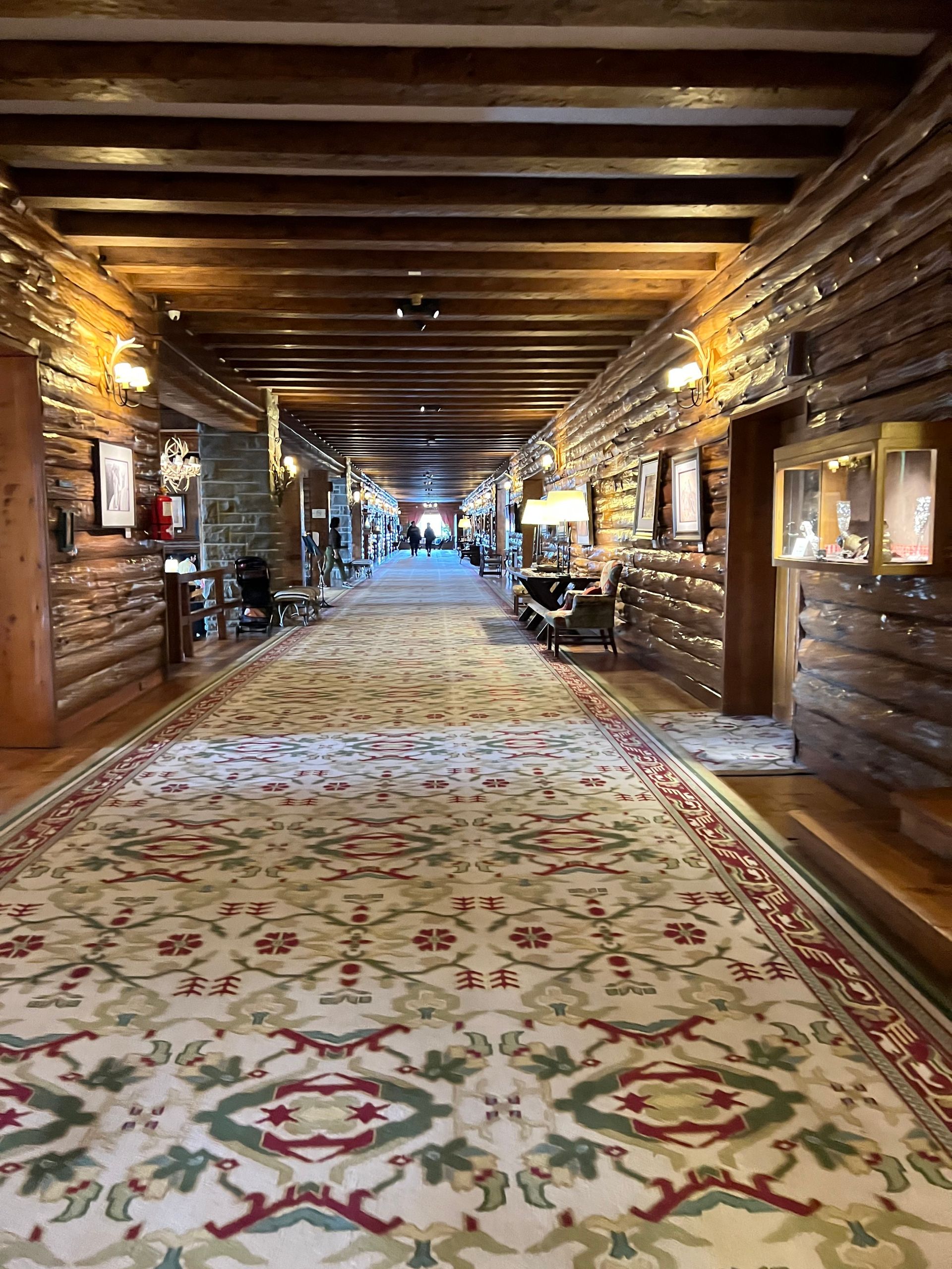 O que fazer em Bariloche no inverno com crianças - 16 - 1