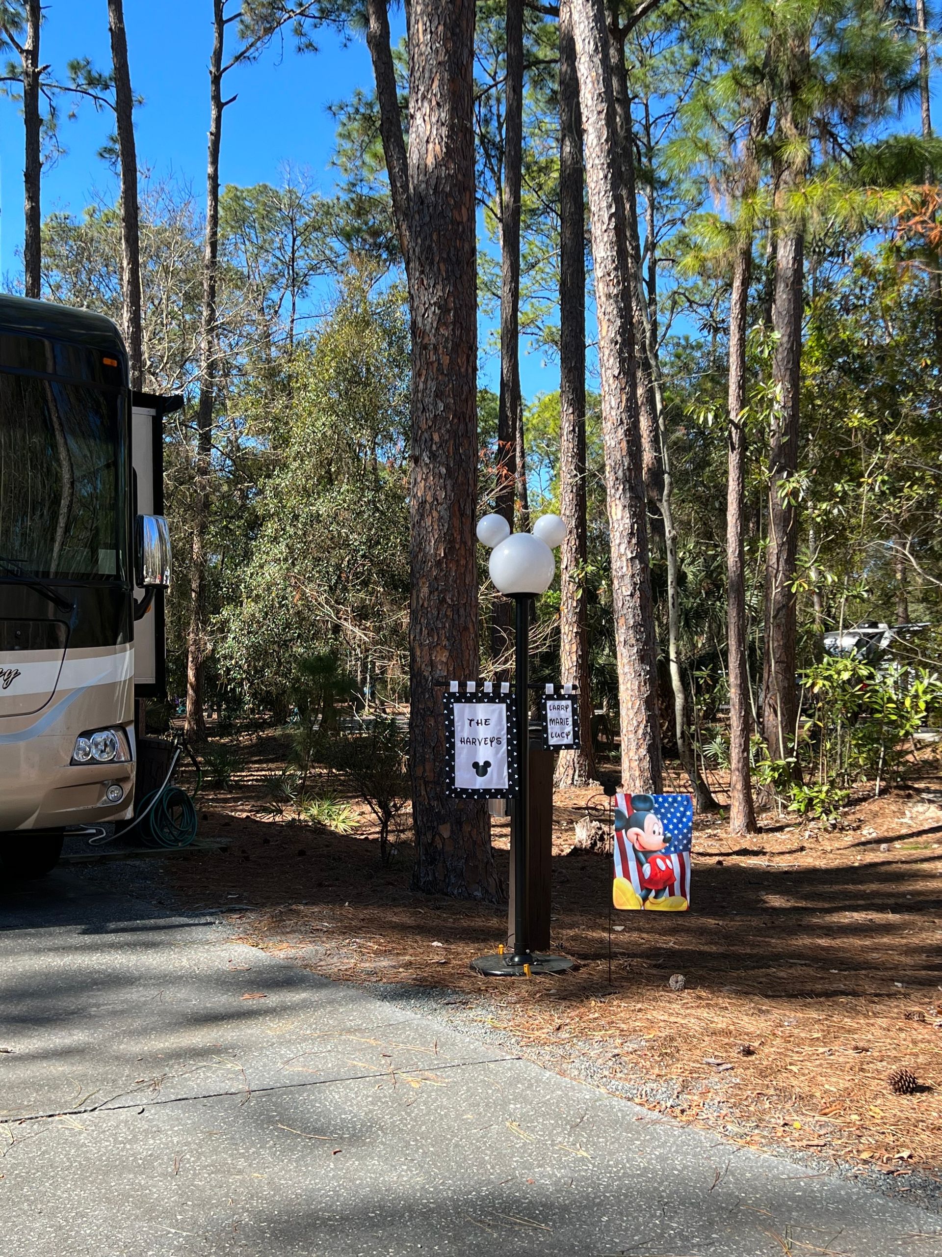 Como acampar na Disney: Fort Wilderness - 7