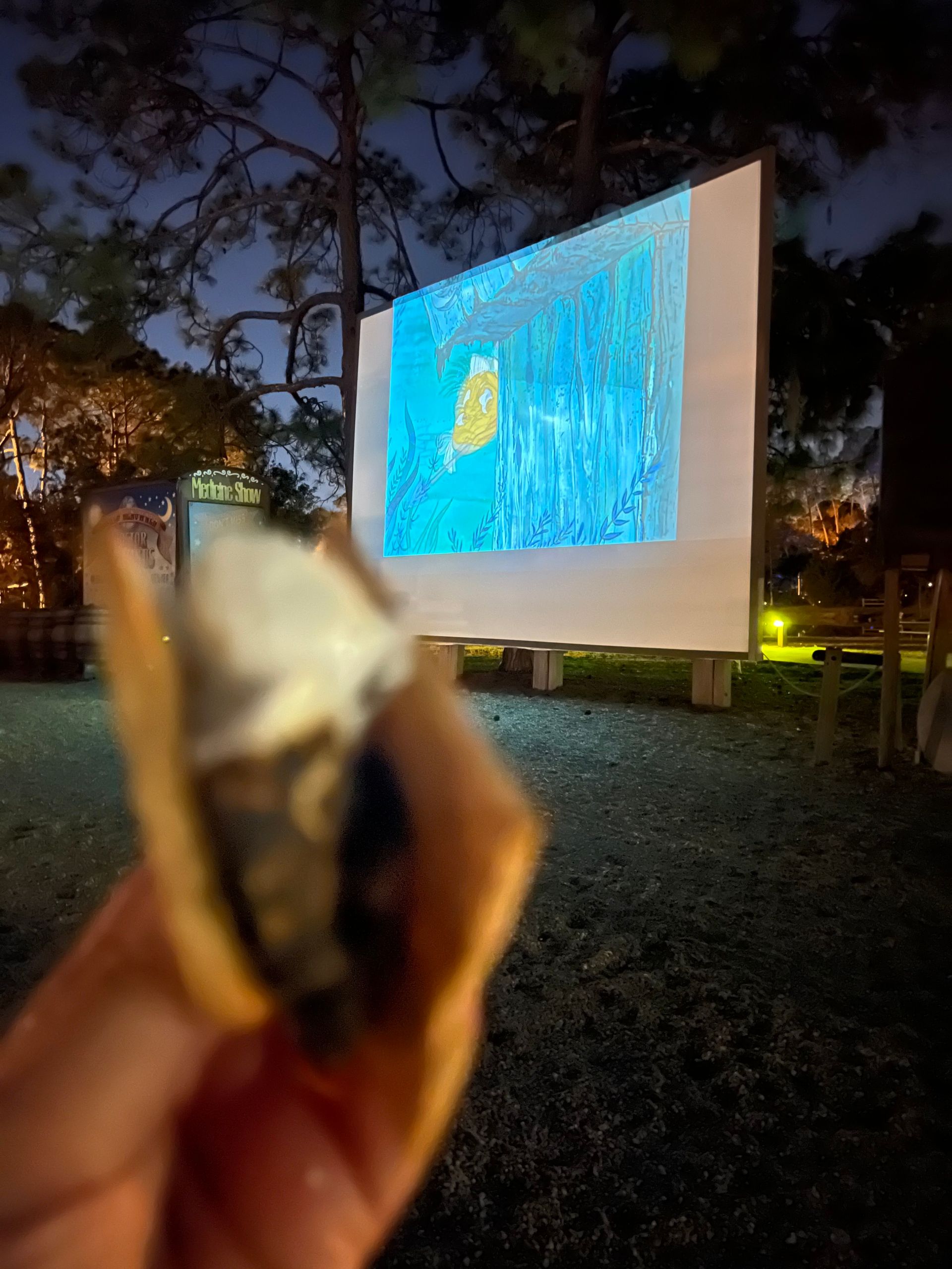 Como acampar na Disney: Fort Wilderness - 19 - 1