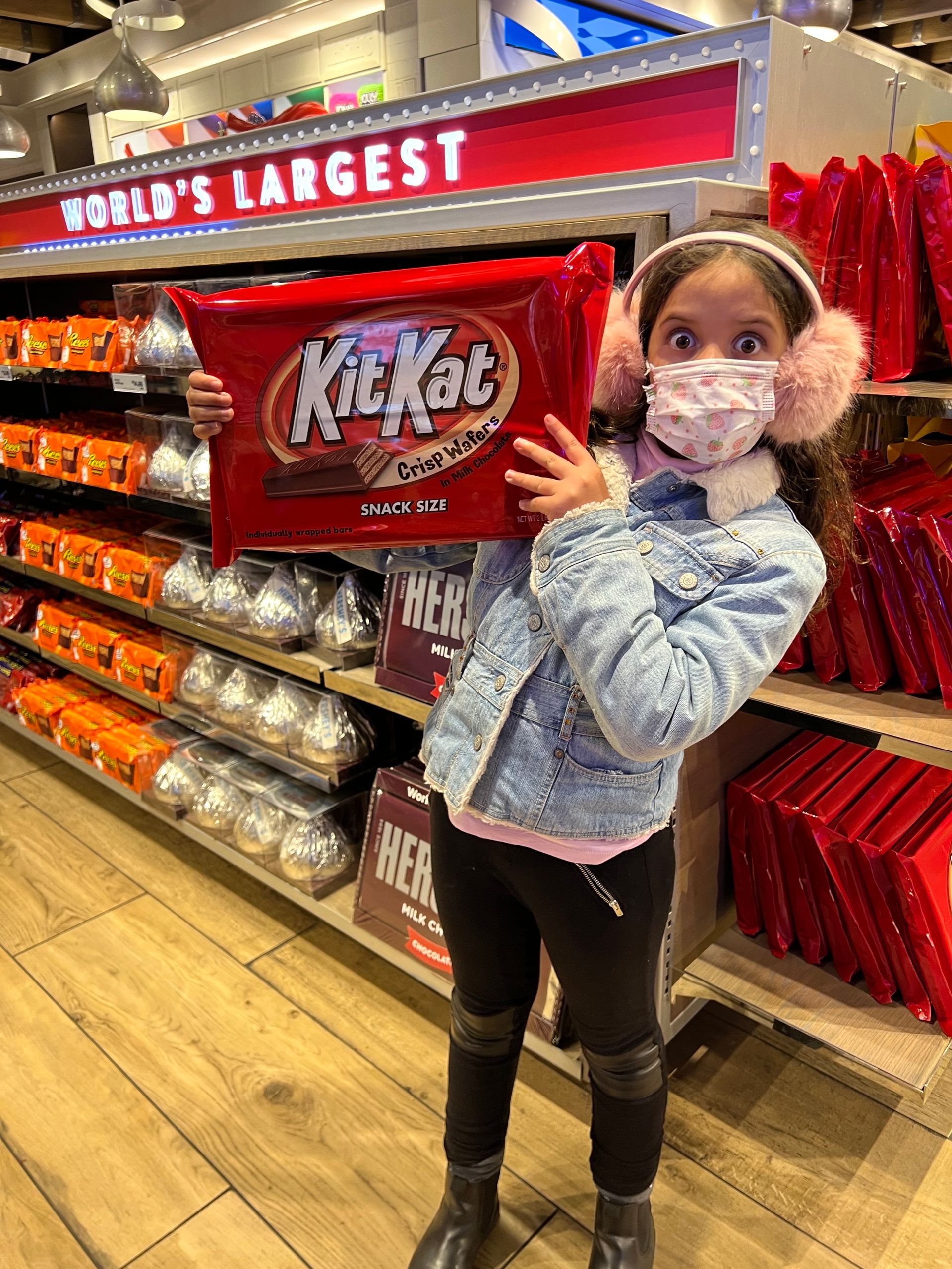 O que fazer em Nova York em família no inverno - 37