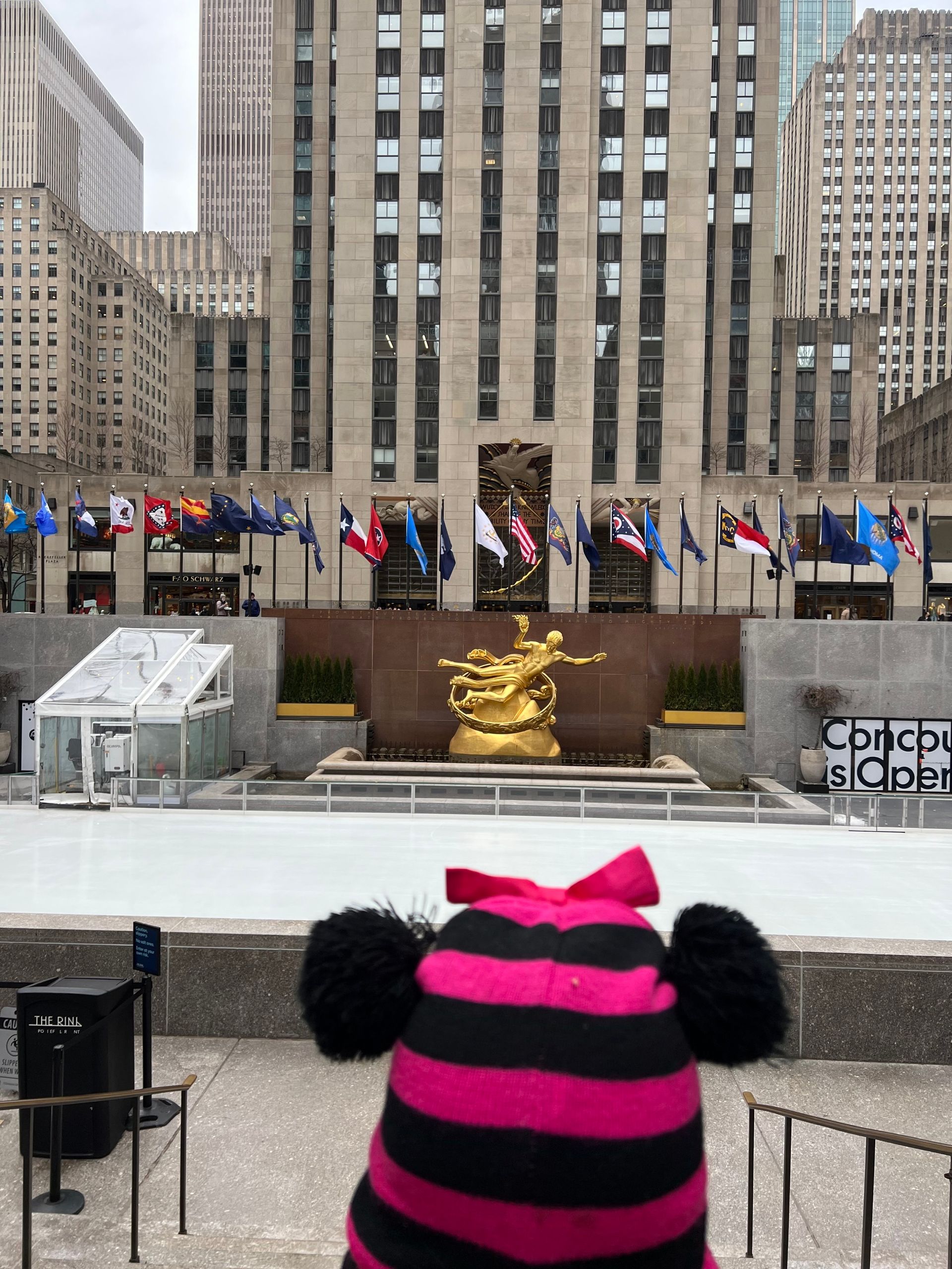 O que fazer em Nova York em família no inverno - 40