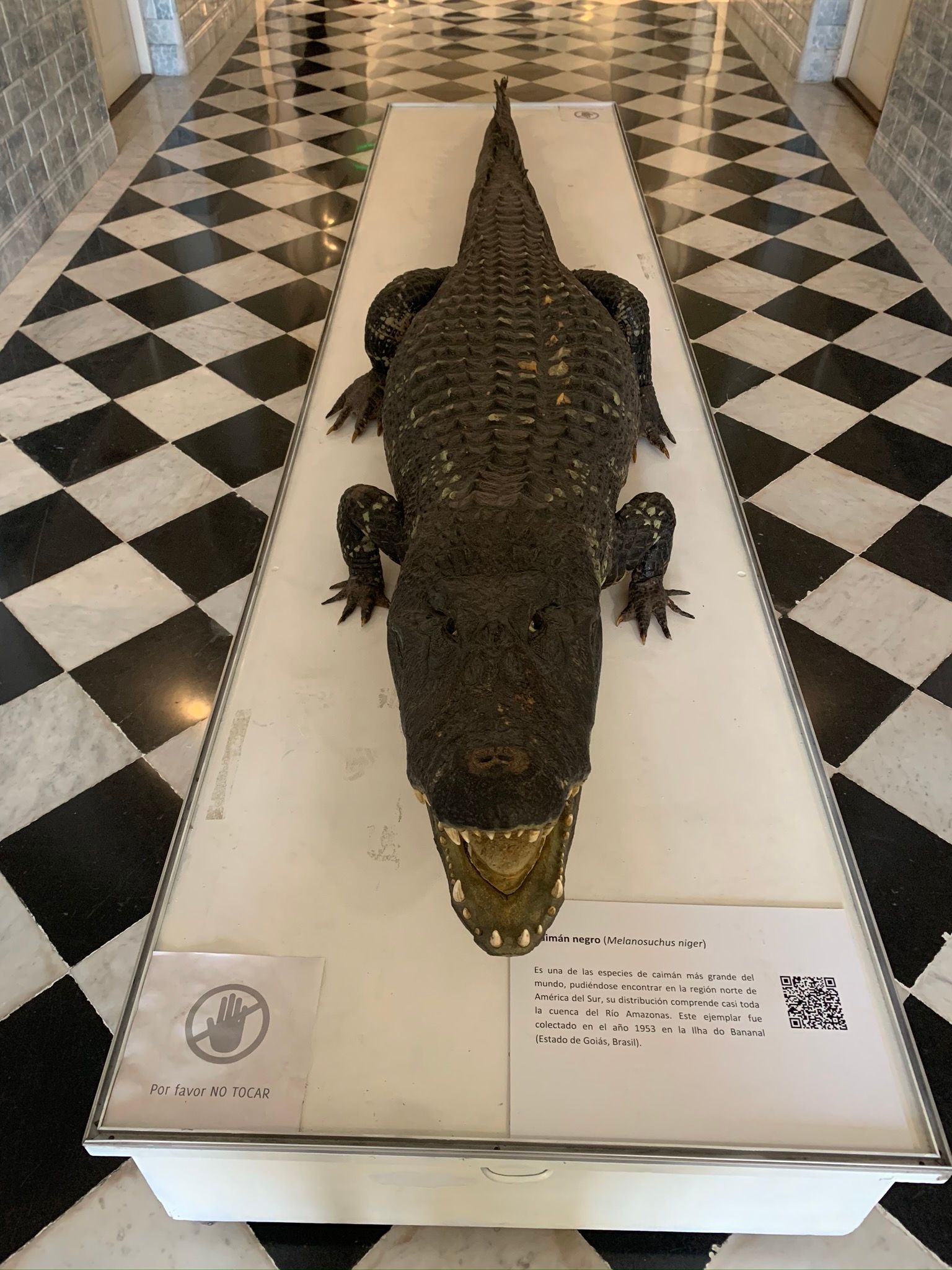 5 Museus em Montevidéu para você conhecer - 25 - 2