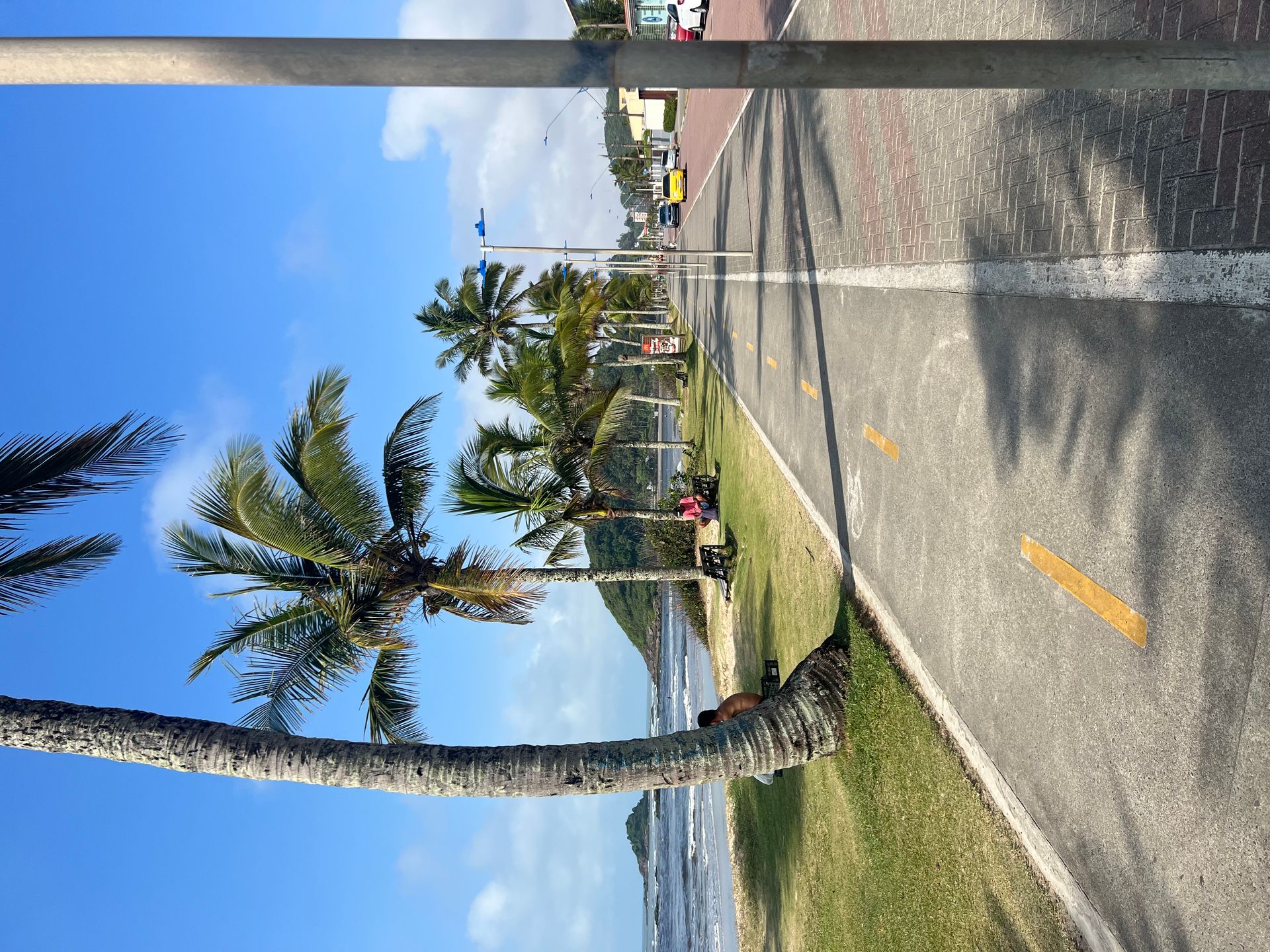 O que fazer em 1 dia em Itanhaém - 14