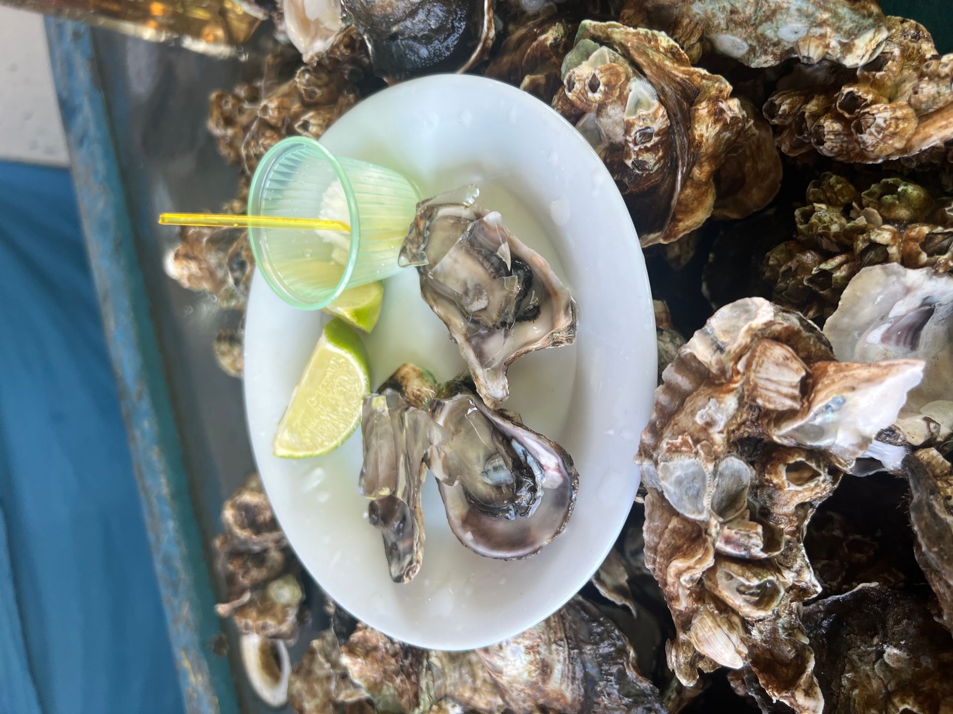 O que fazer em 1 dia em Itanhaém - 9