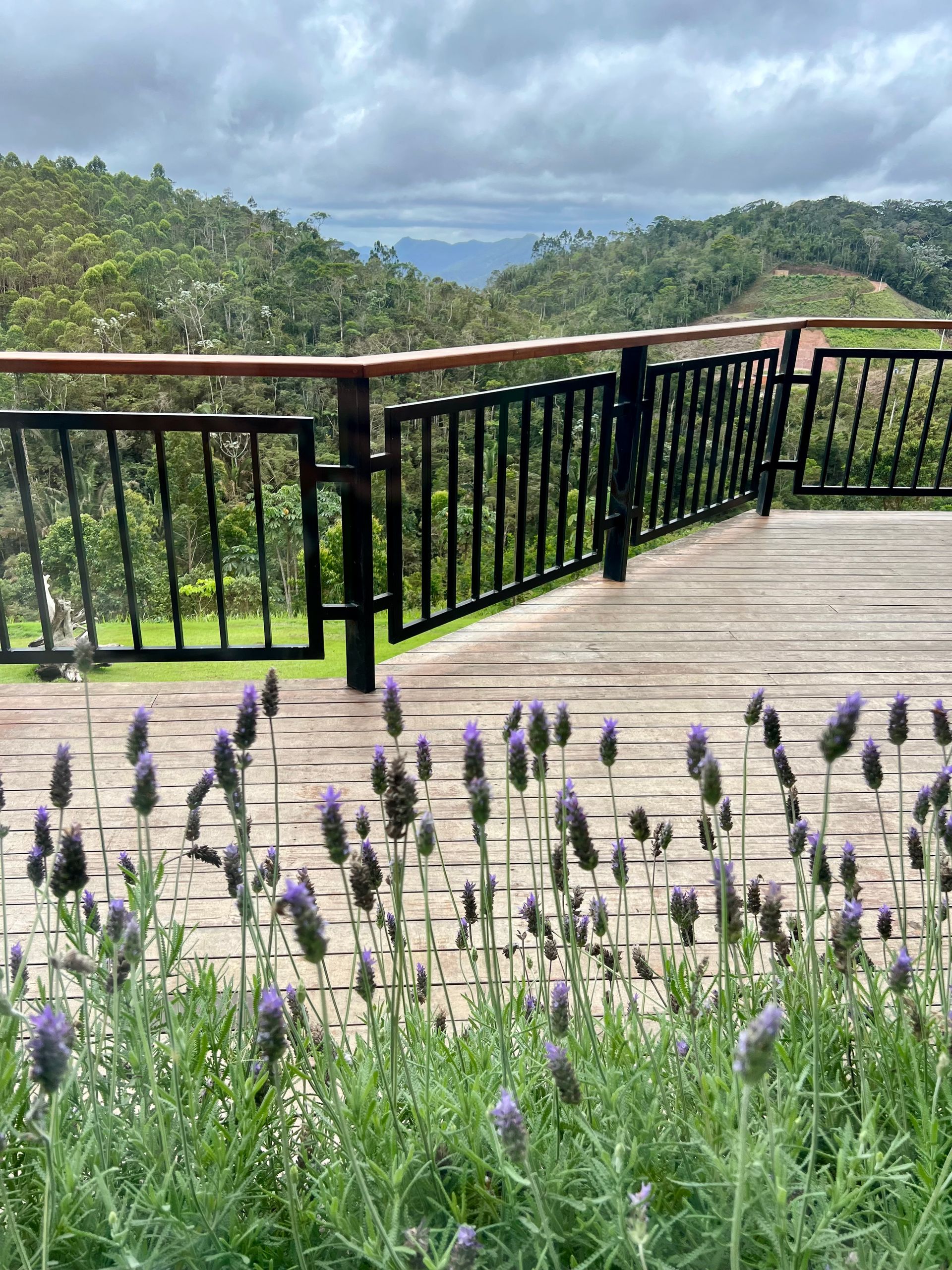 Onde comer no Espírito Santo: restaurantes e experiências - 9