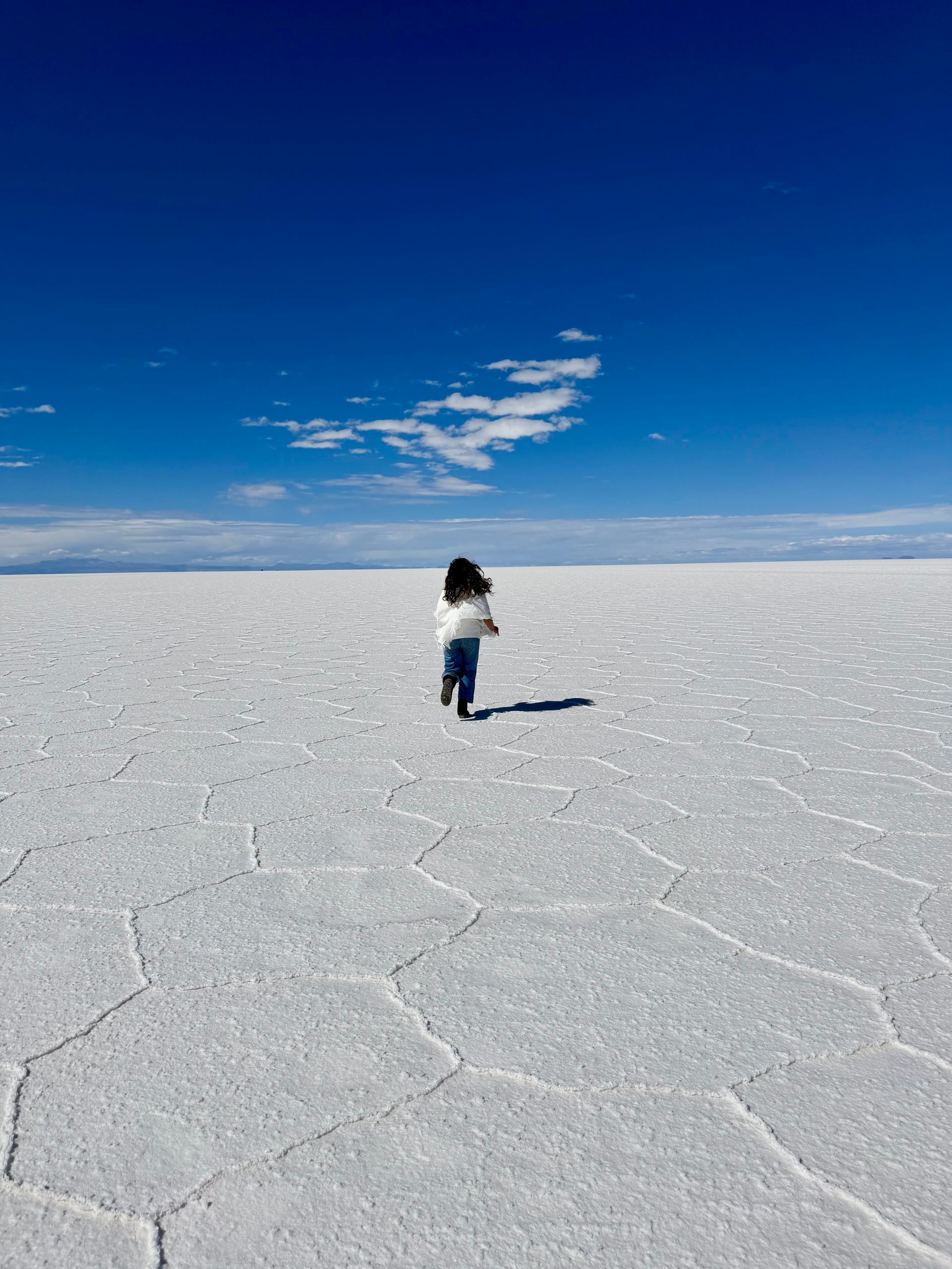 Bate e volta para o Salar de Uyuni saindo de La Paz: guia completo + dicas - 15
