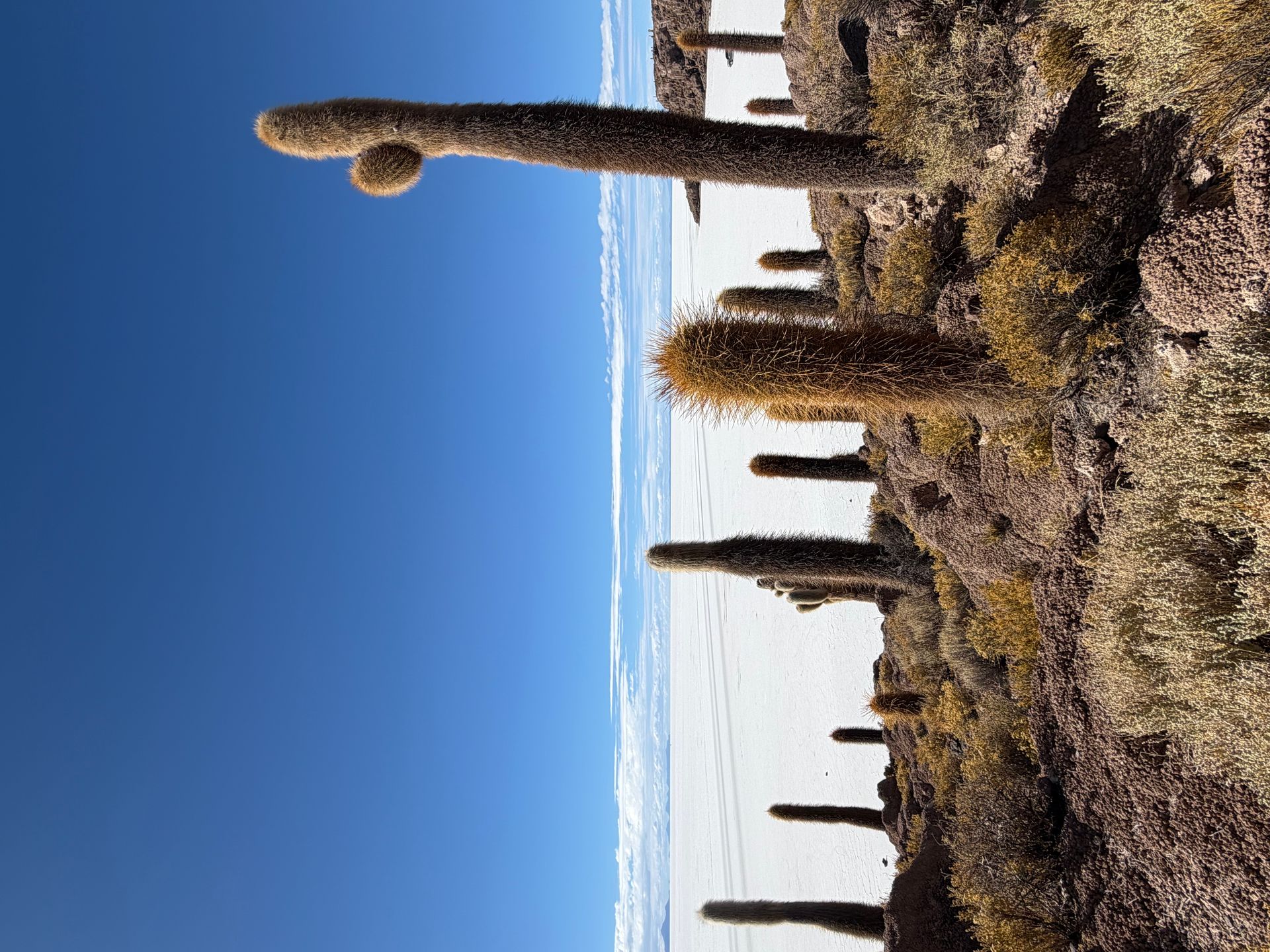 Bate e volta para o Salar de Uyuni saindo de La Paz: guia completo + dicas - 17