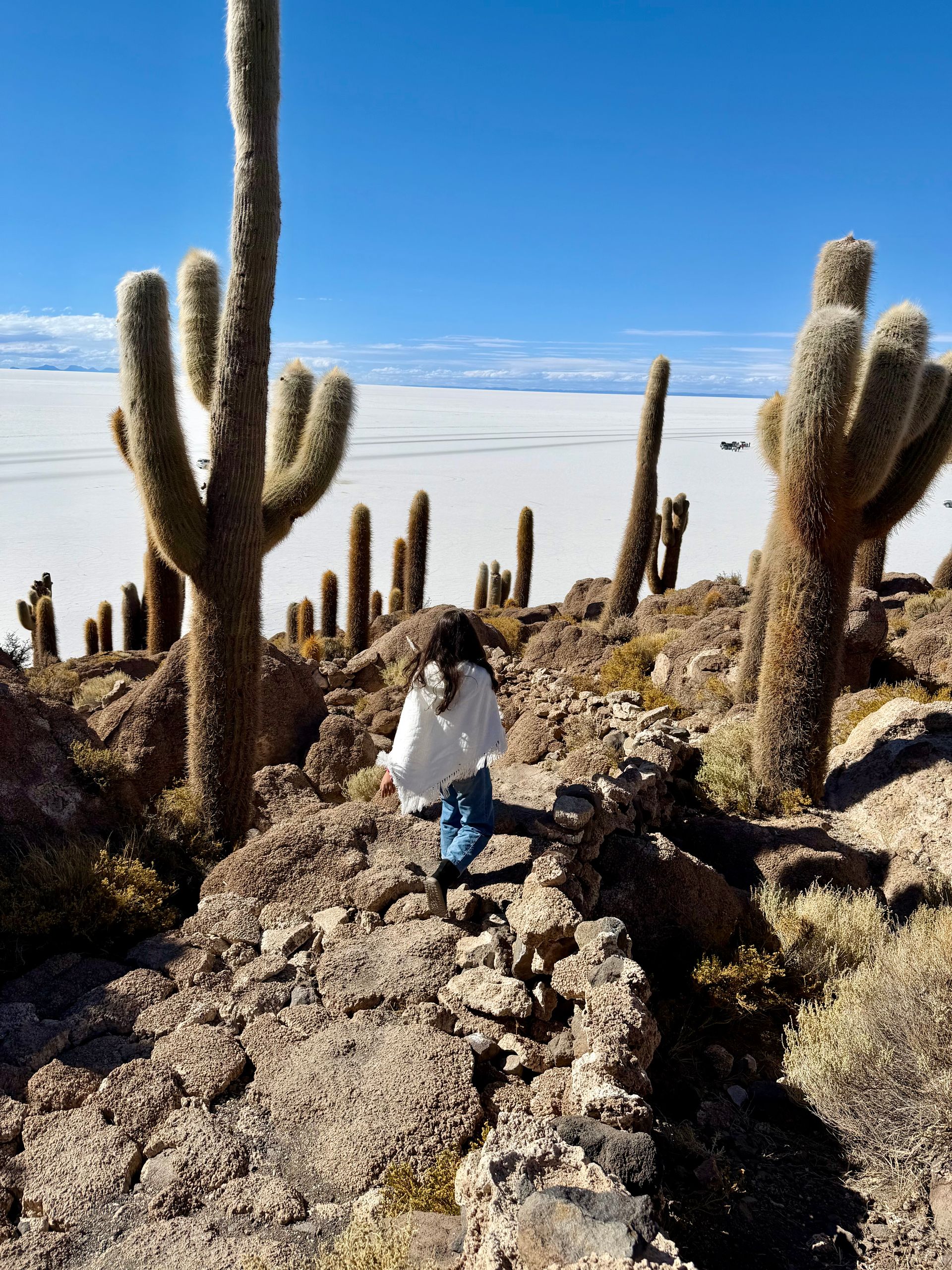 Bate e volta para o Salar de Uyuni saindo de La Paz: guia completo + dicas - 2