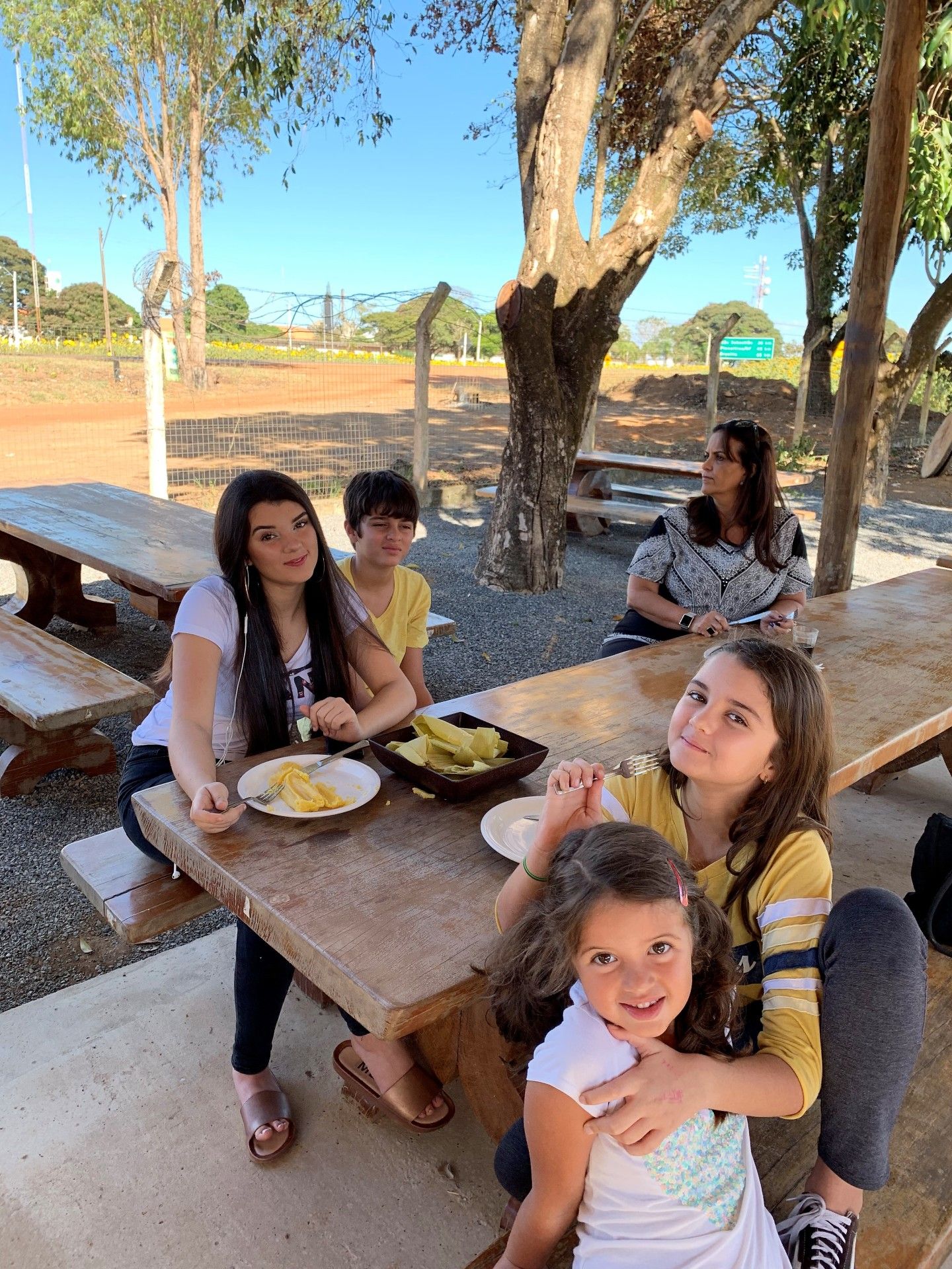 Campo de Girassol em Brasília! Um lugar para lindas fotos! - 27 - 0