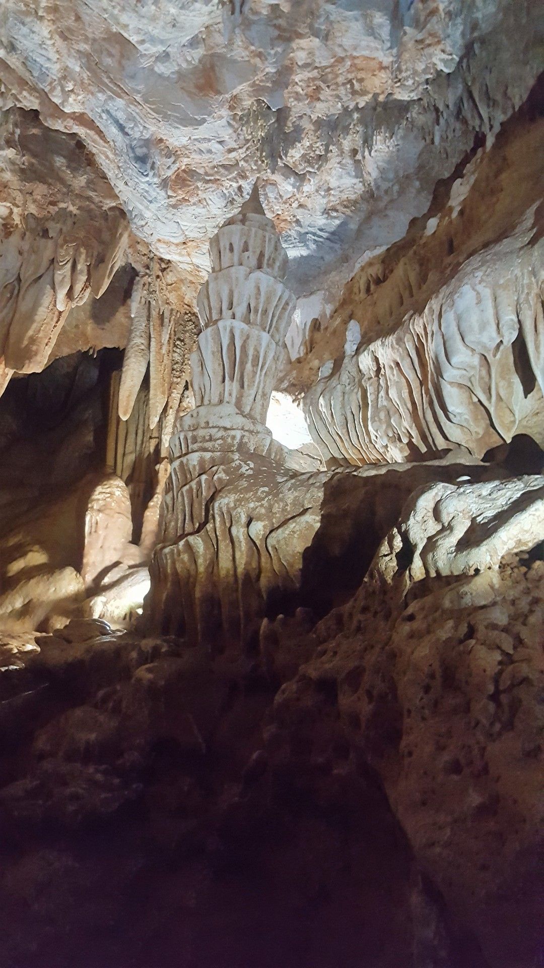 Bonito com crianças: o que você precisa saber! - 26 - 1