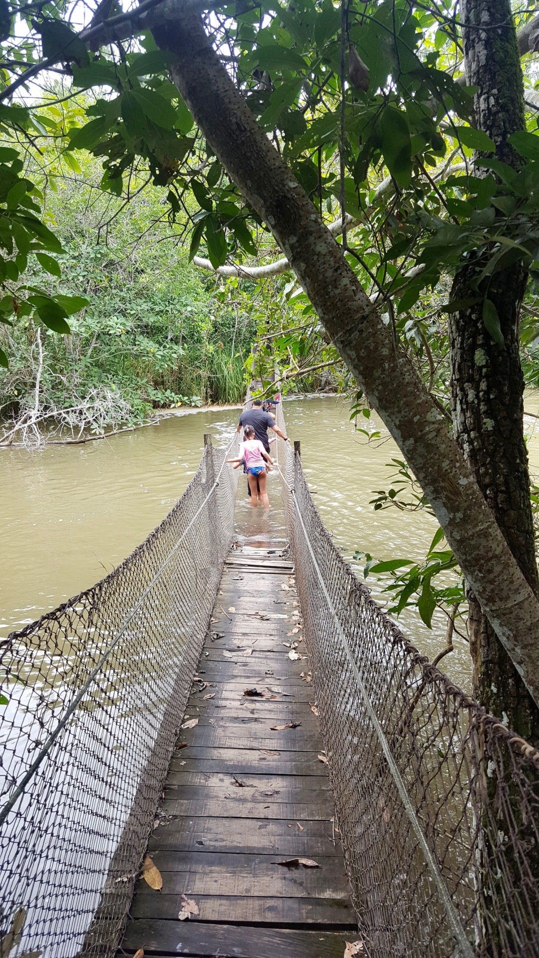 Bonito com crianças: o que você precisa saber! - 44 - 1
