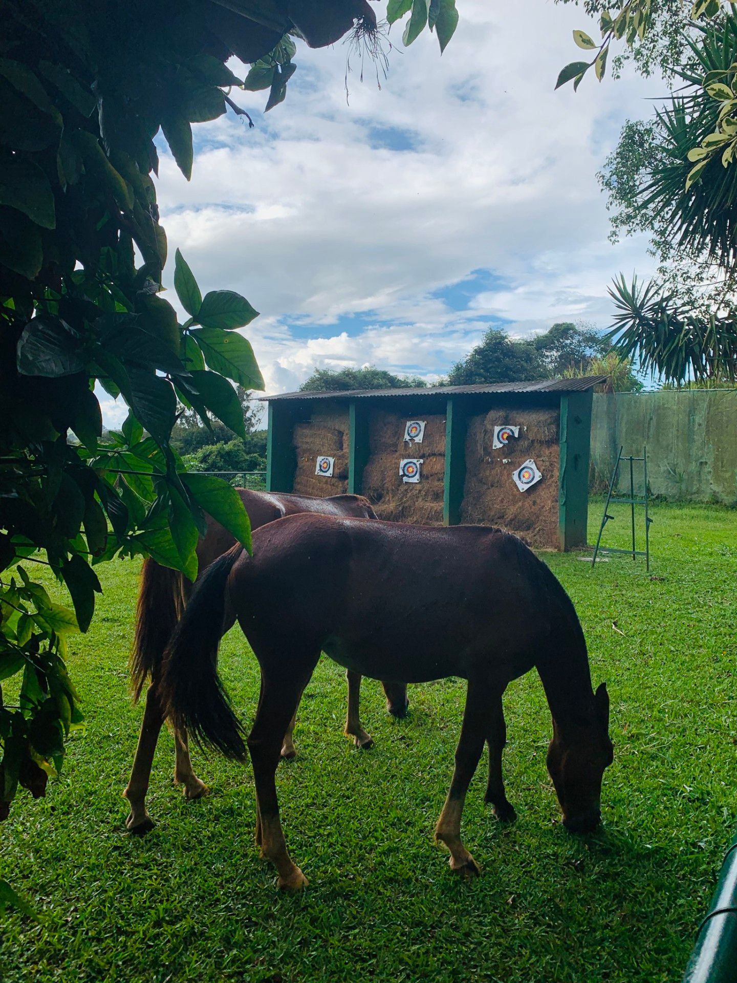 10 Resorts no Brasil que visitamos com as crianças - 42 - 0