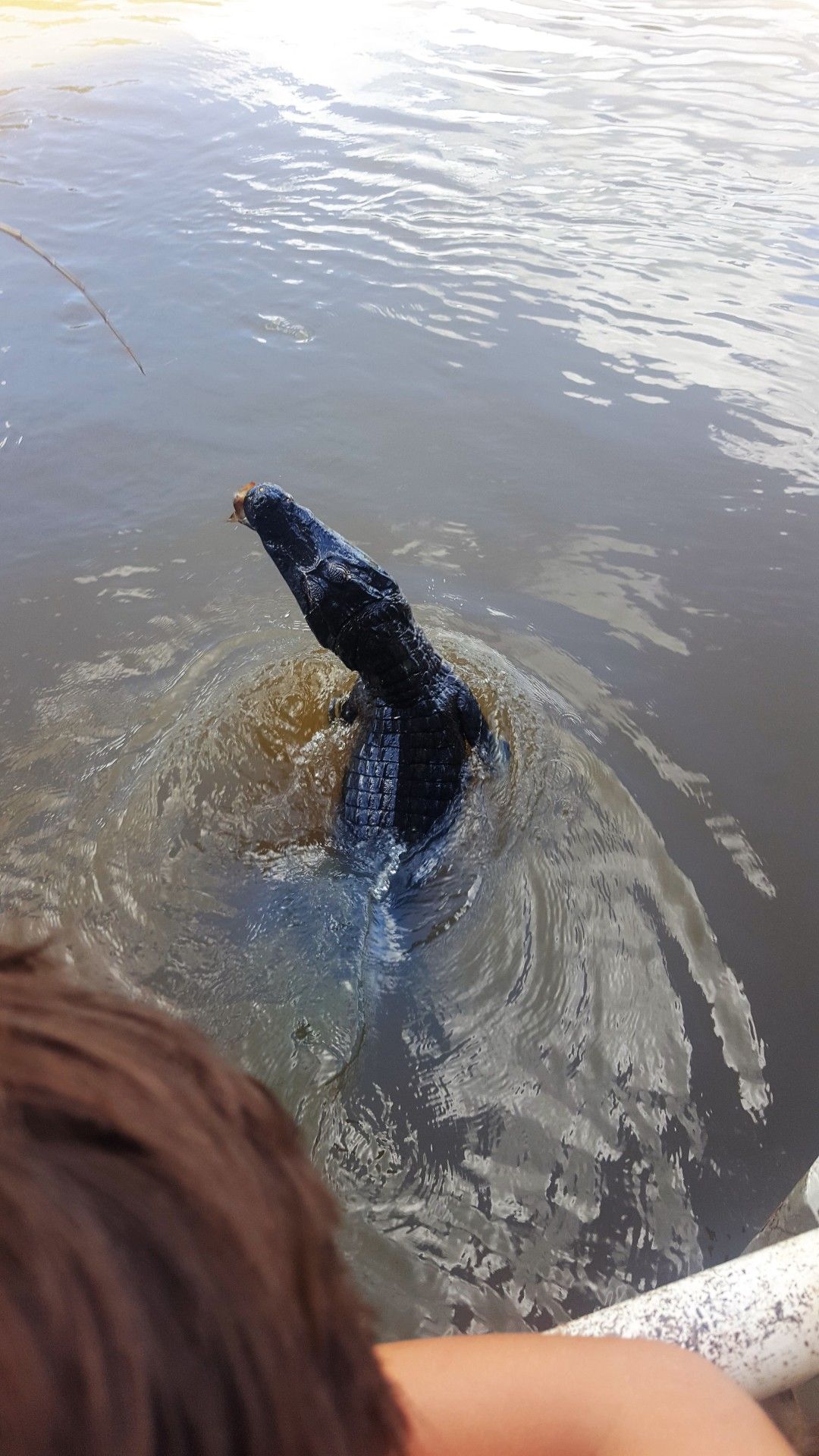 Uma fantástica road trip pelo Mato Grosso do Sul! Indo até Assunção no Paraguai. - 28 - 1