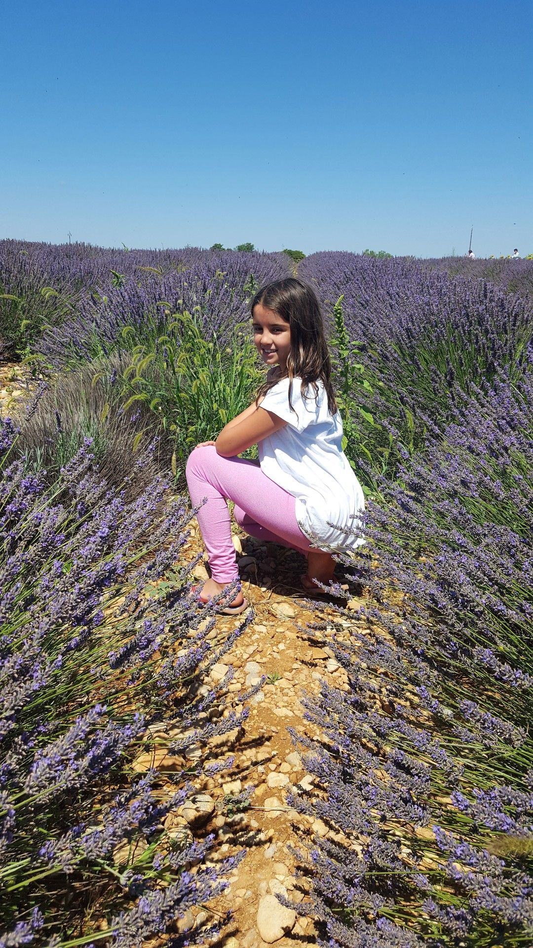 Provence: como visitar os campos de lavanda  com crianças - 7 - 1