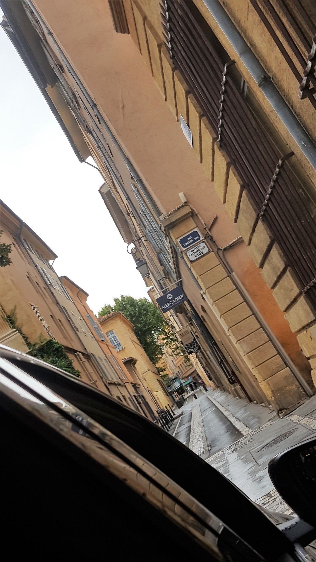 Provence: como visitar os campos de lavanda  com crianças - 35 - 0