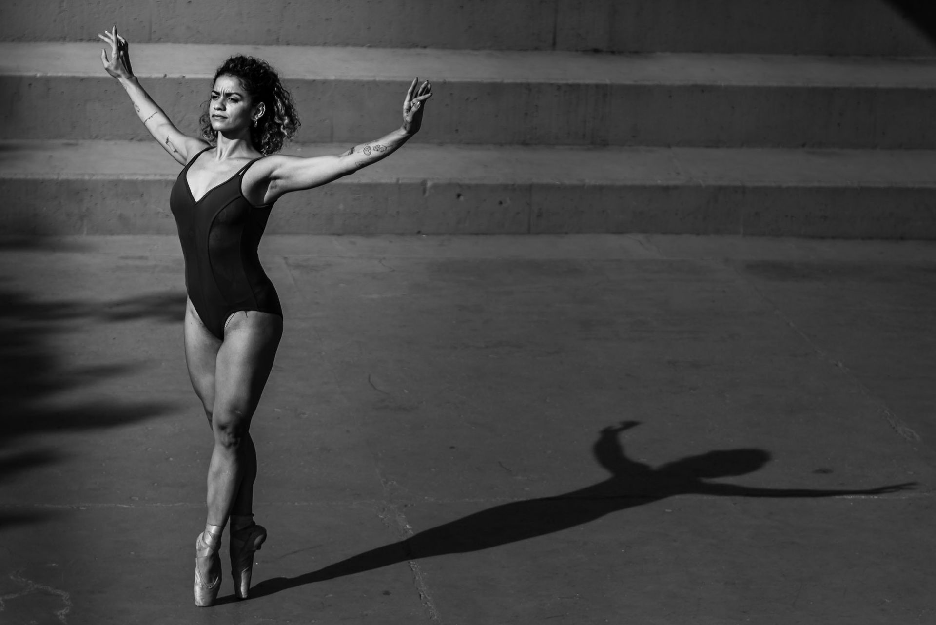 Parque Villa Lobos. Vanessa Braziliensis - 2 - 9