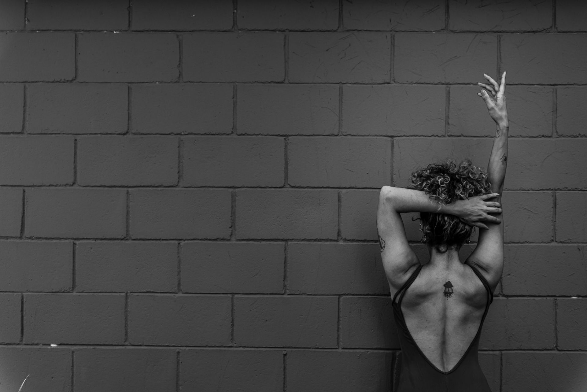 Parque Villa Lobos. Vanessa Braziliensis - 2 - 2