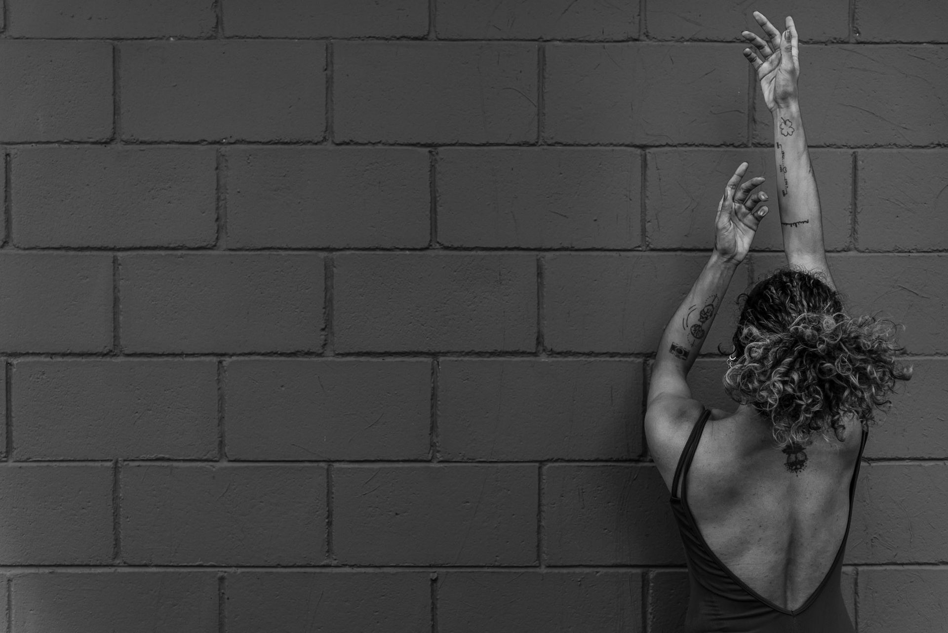 Parque Villa Lobos. Vanessa Braziliensis - 2 - 1