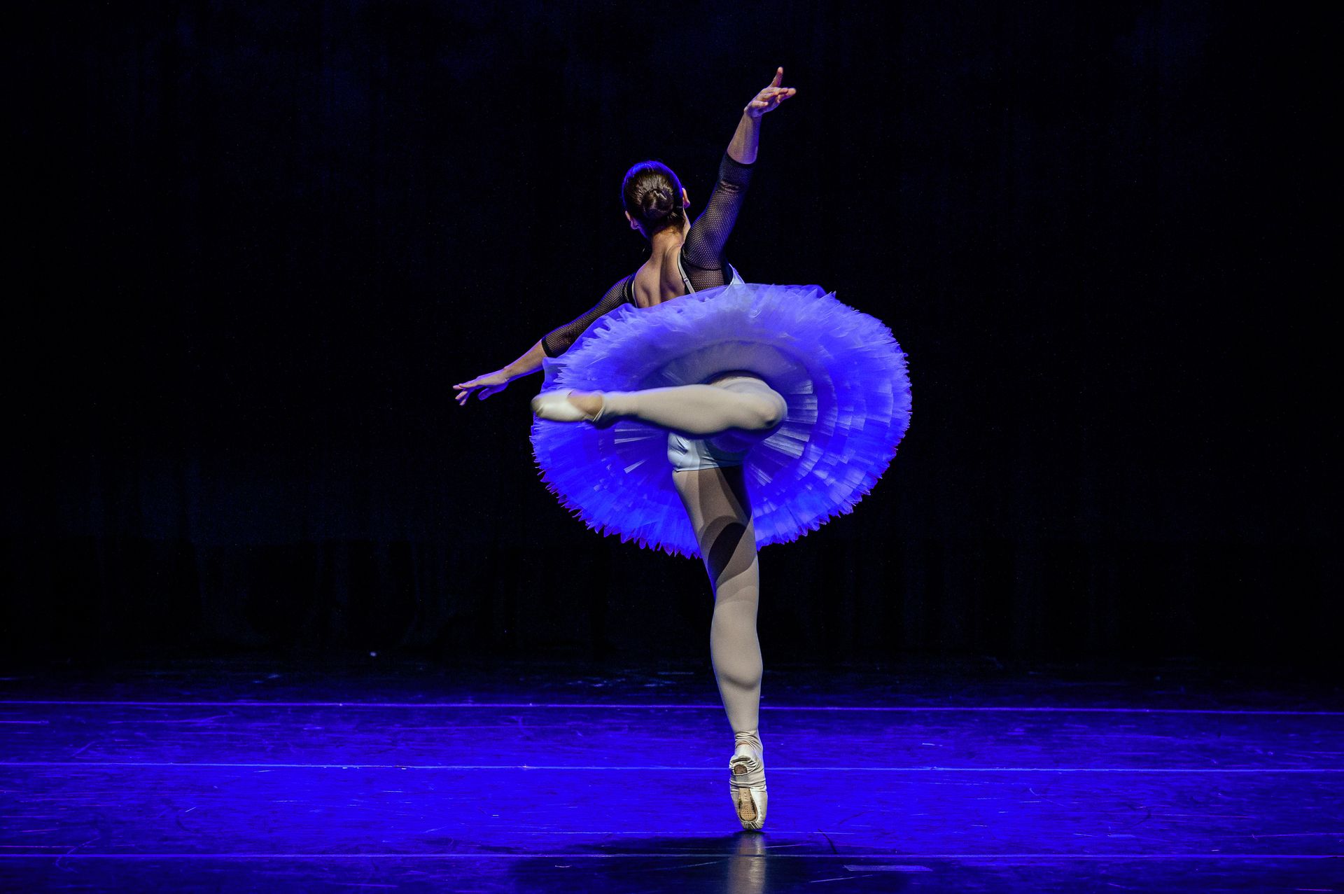 O Lago dos Cisne - BLA (Ballet Livre Adulto) - 2 - 25