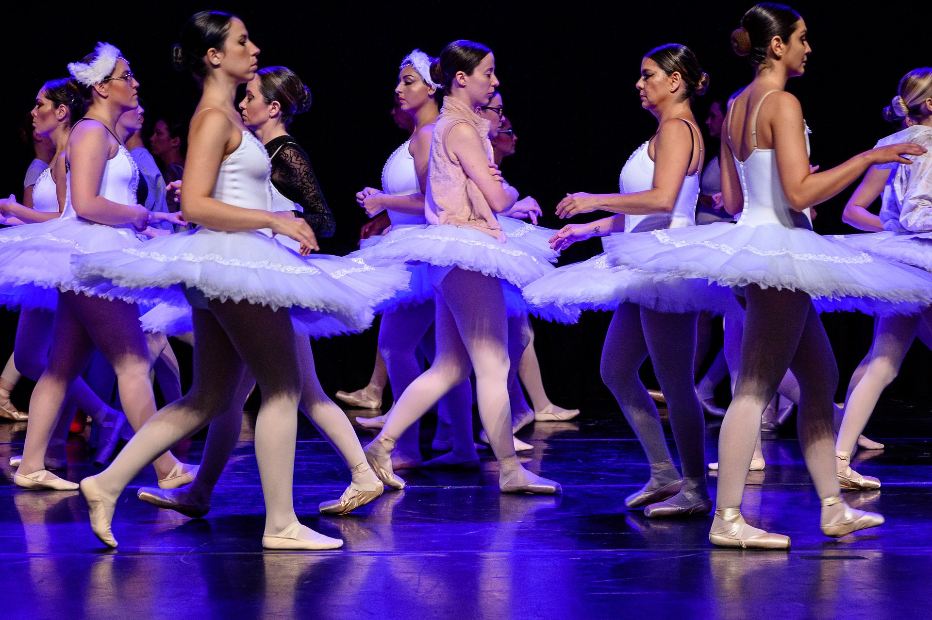 O Lago dos Cisne - BLA (Ballet Livre Adulto) - 2 - 22