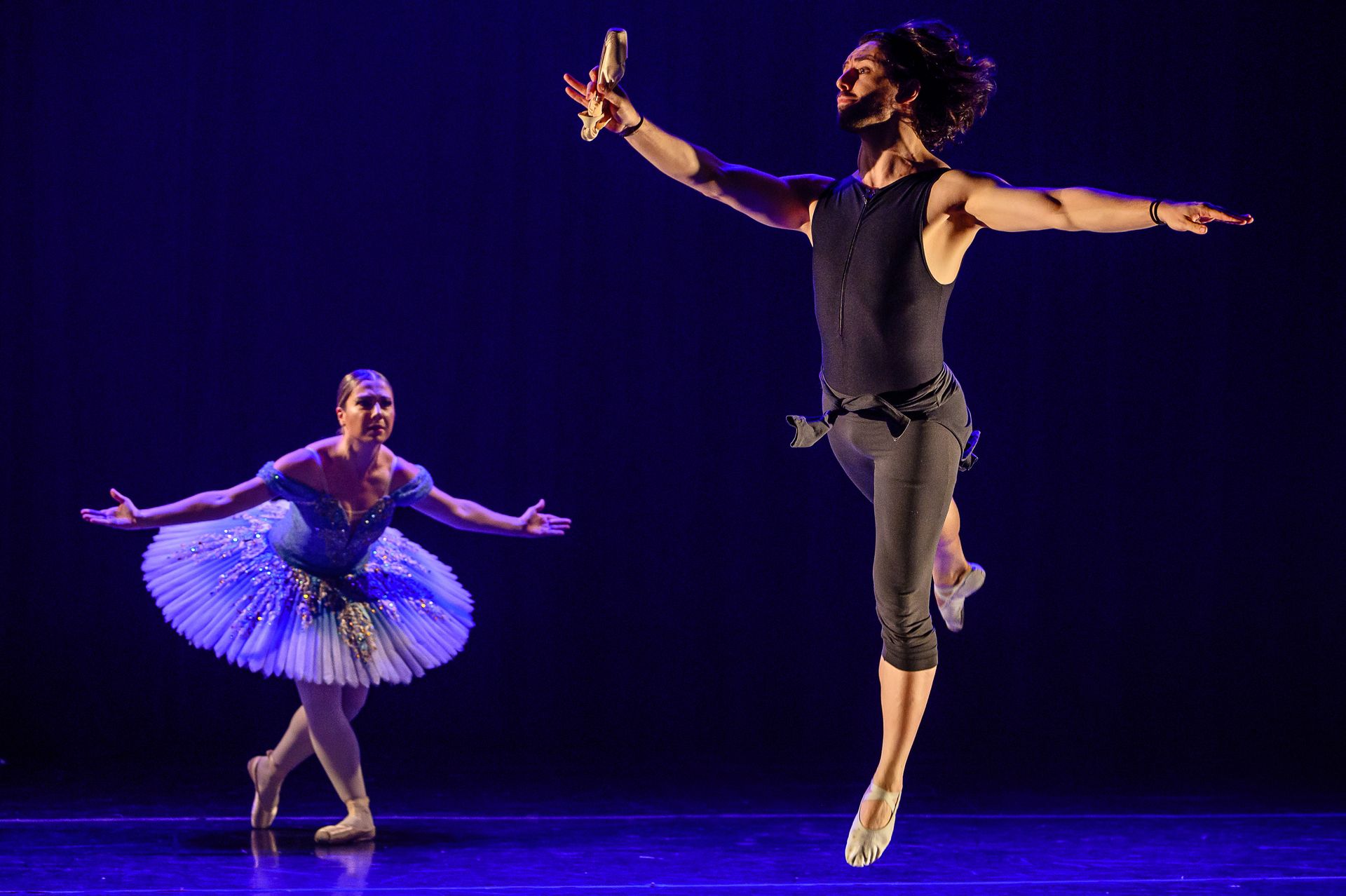 O Lago dos Cisne - BLA (Ballet Livre Adulto) - 2 - 2