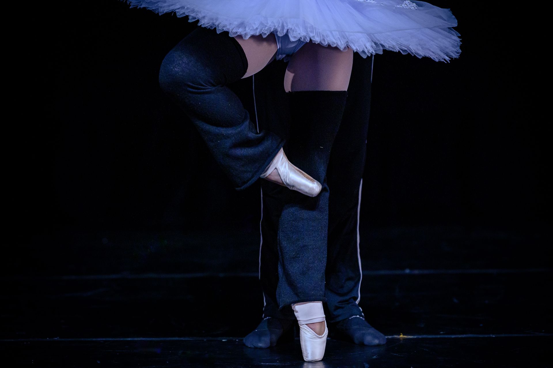 O Lago dos Cisne - BLA (Ballet Livre Adulto) - 2 - 33