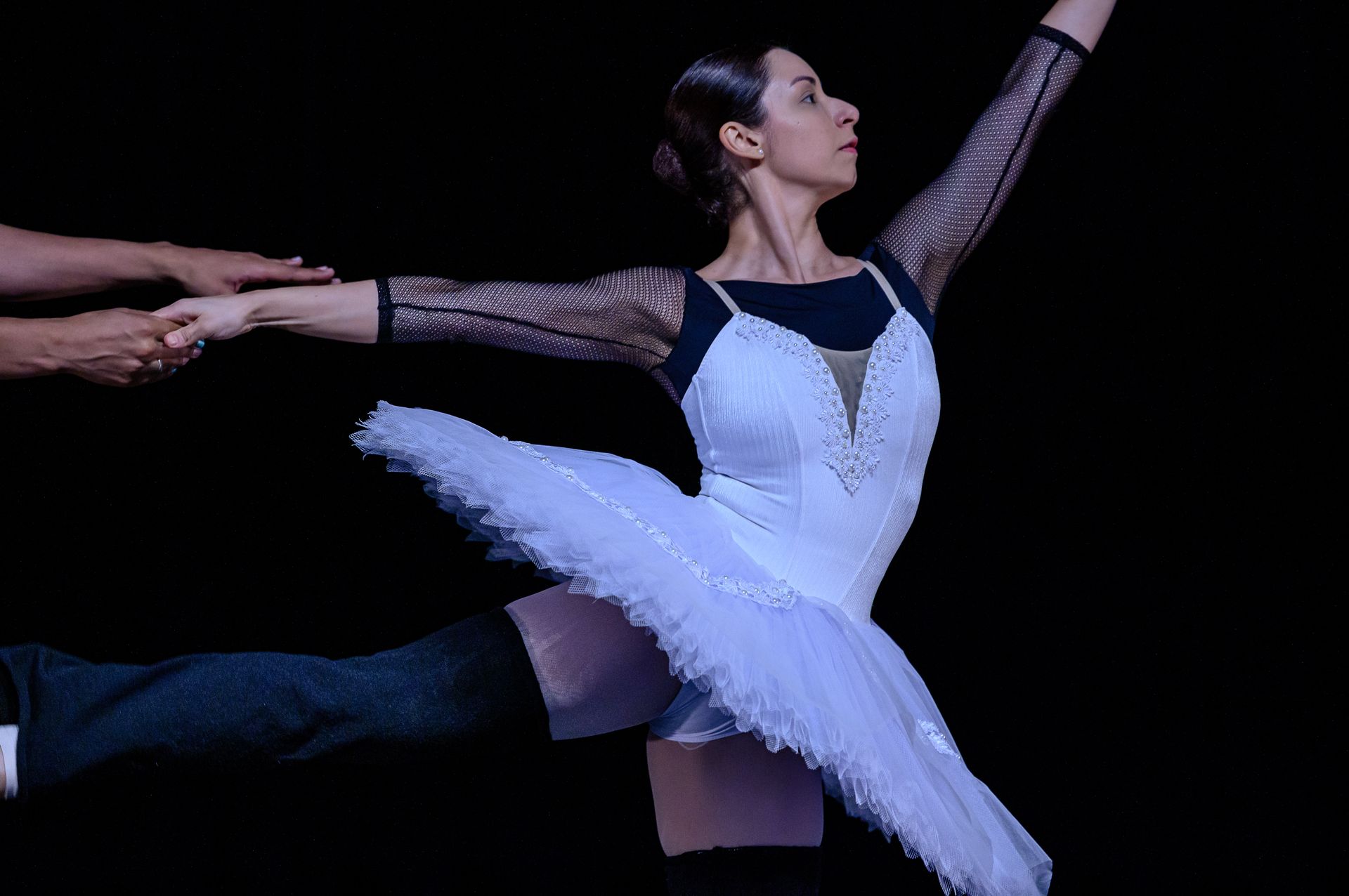 O Lago dos Cisne - BLA (Ballet Livre Adulto) - 2 - 34