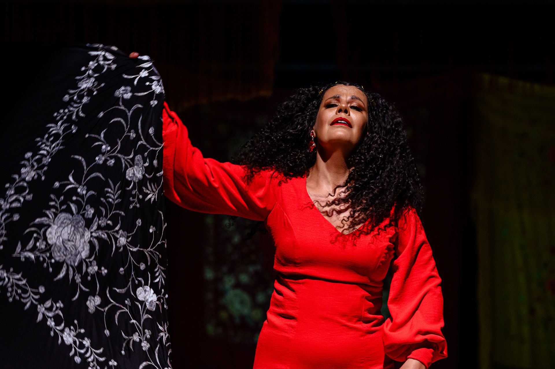 Espetáculo Flamenco Negro - Cia La Negra Ana Medeiros - 2 - 25