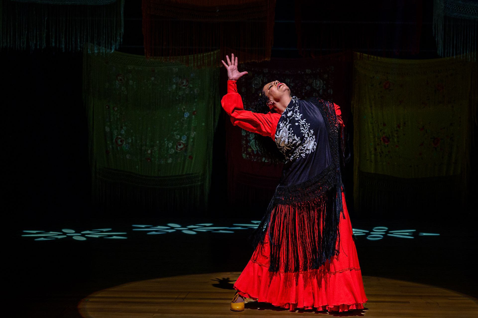 Espetáculo Flamenco Negro - Cia La Negra Ana Medeiros - 2 - 23