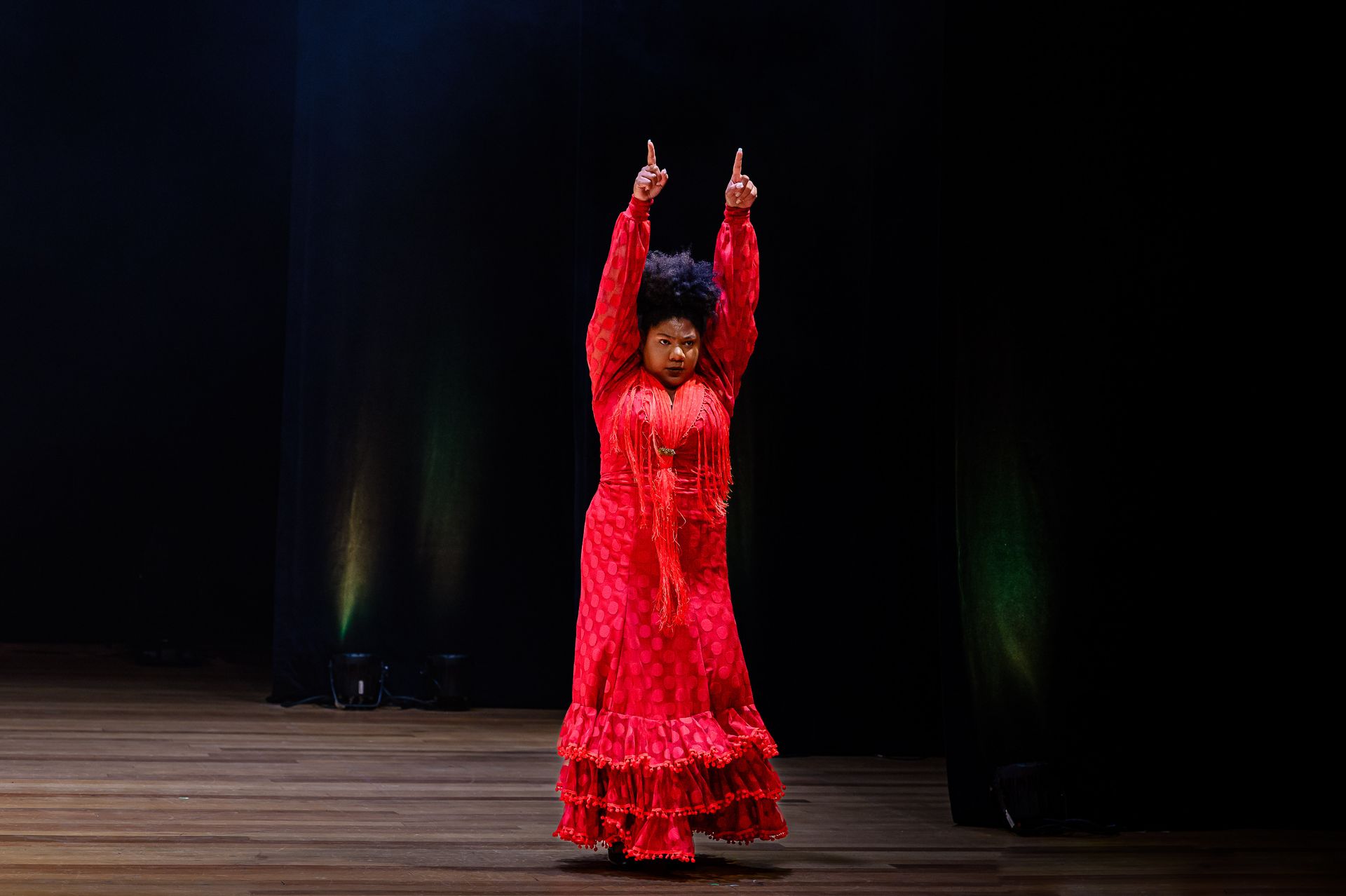 Espetáculo Flamenco Negro - Cia La Negra Ana Medeiros - 2 - 0