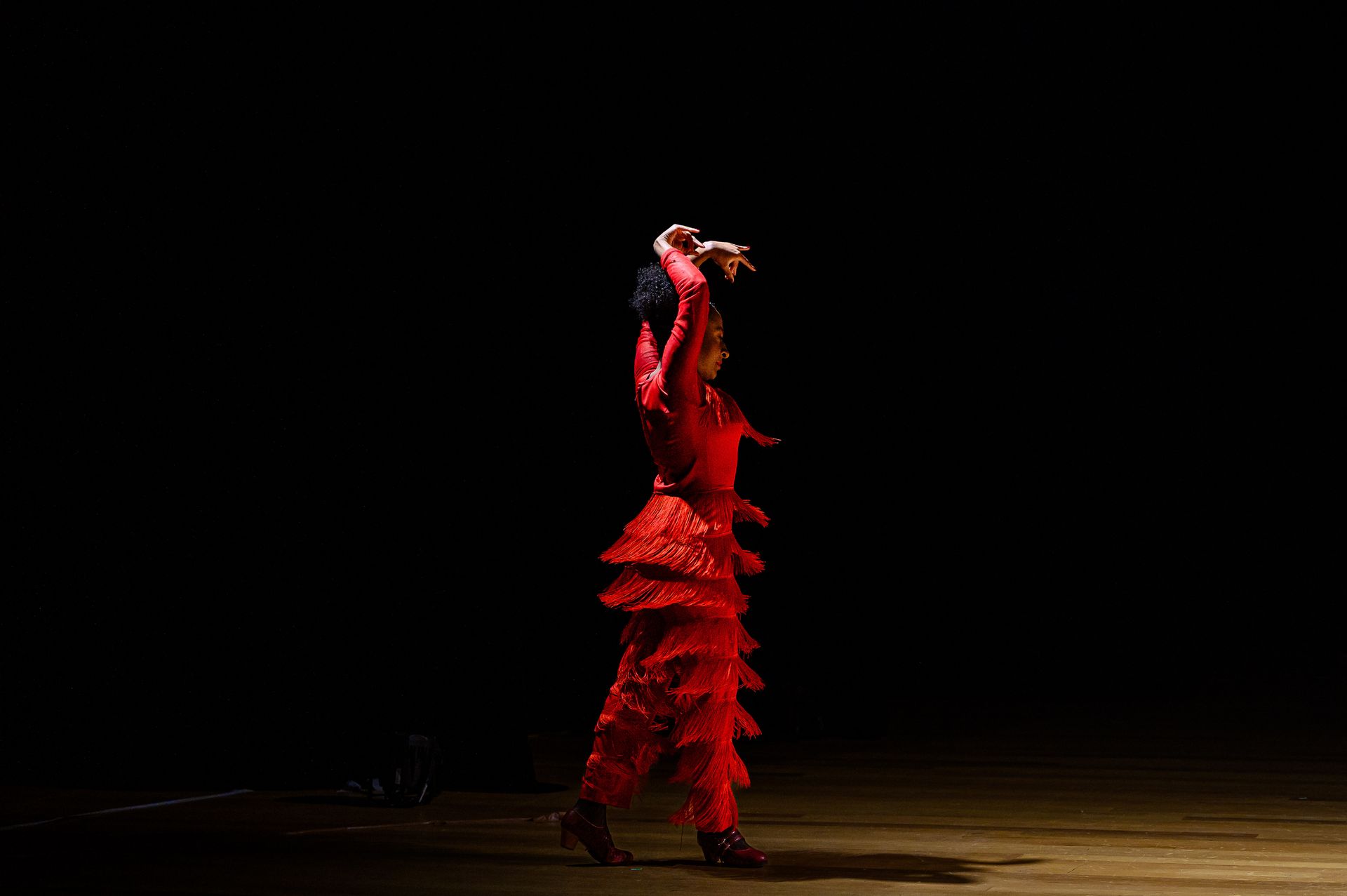 Espetáculo Flamenco Negro - Cia La Negra Ana Medeiros - 2 - 7