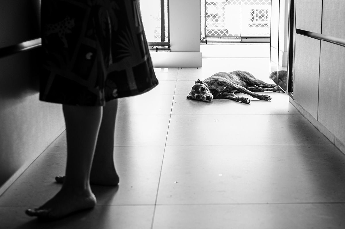 Projeto Eu sou o Baile - Mayara Rubino - 2 - 6