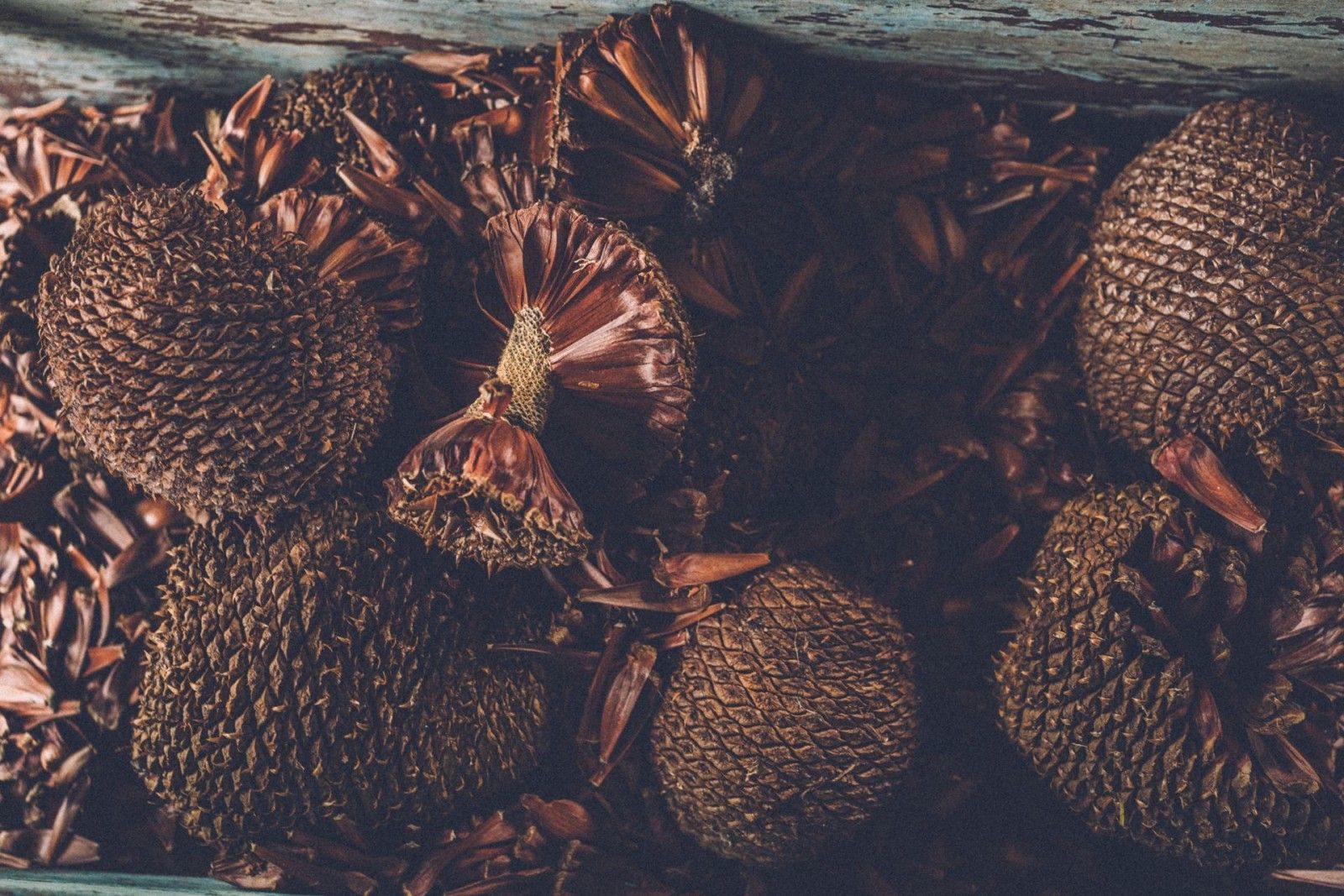 Casamento intimista em Urubuci - 2 - 92