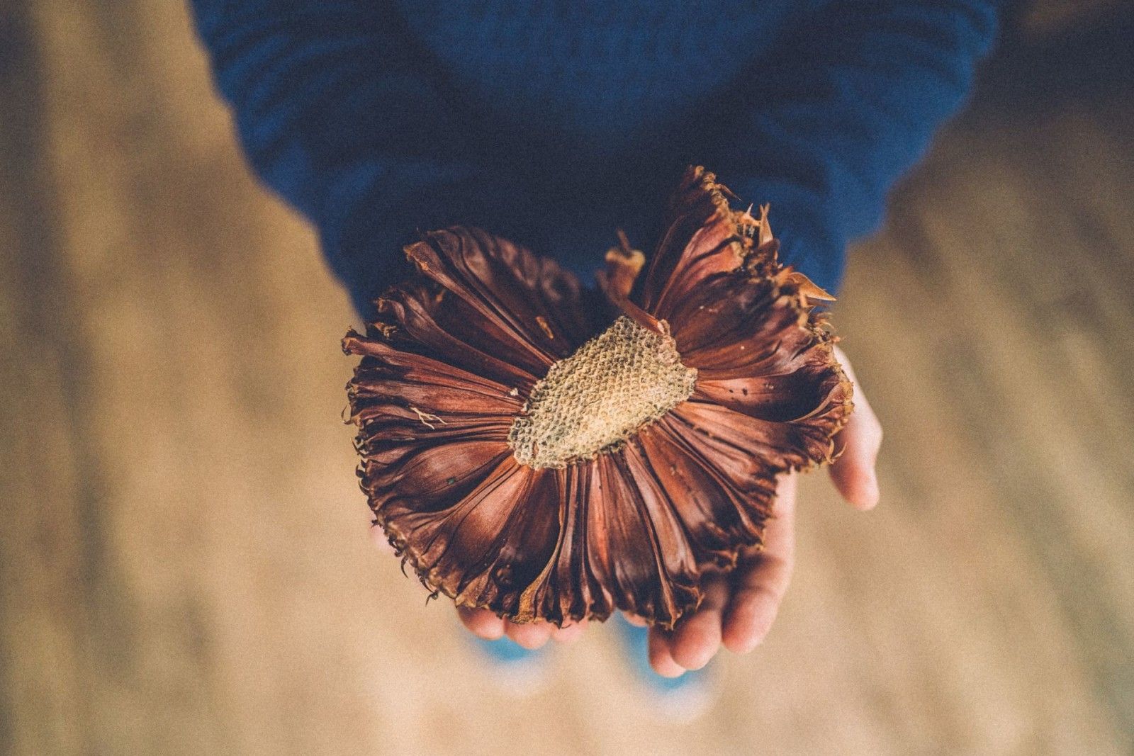 Casamento intimista em Urubuci - 2 - 93