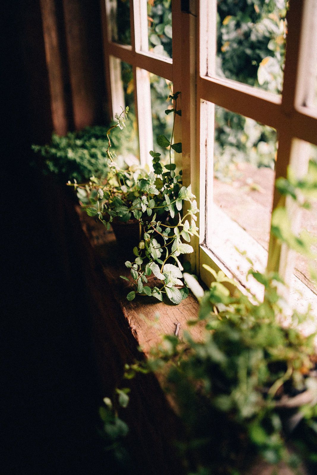 Casamento na serra - 2 - 5