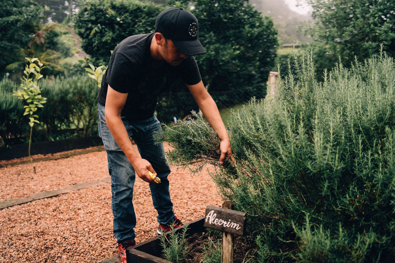 Casamento na serra - 2 - 32