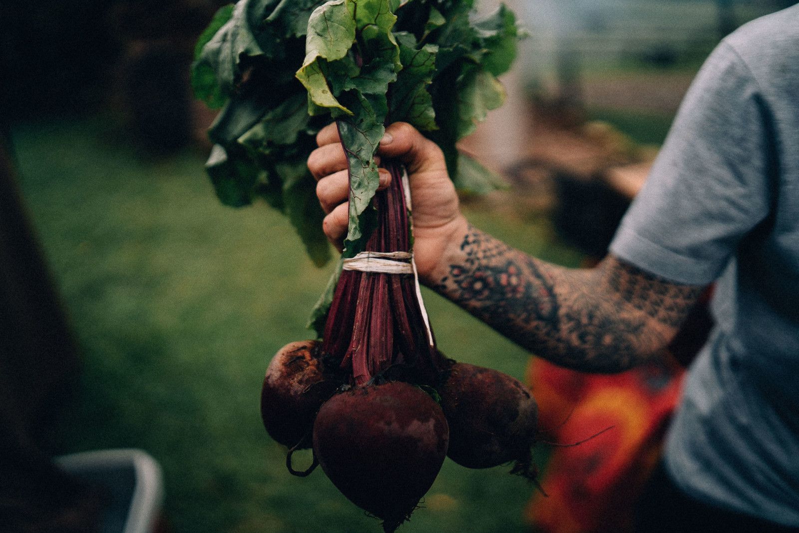 Casamento na serra - 2 - 25