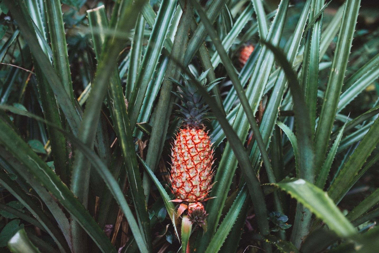 Casamento no Haras - 2 - 20