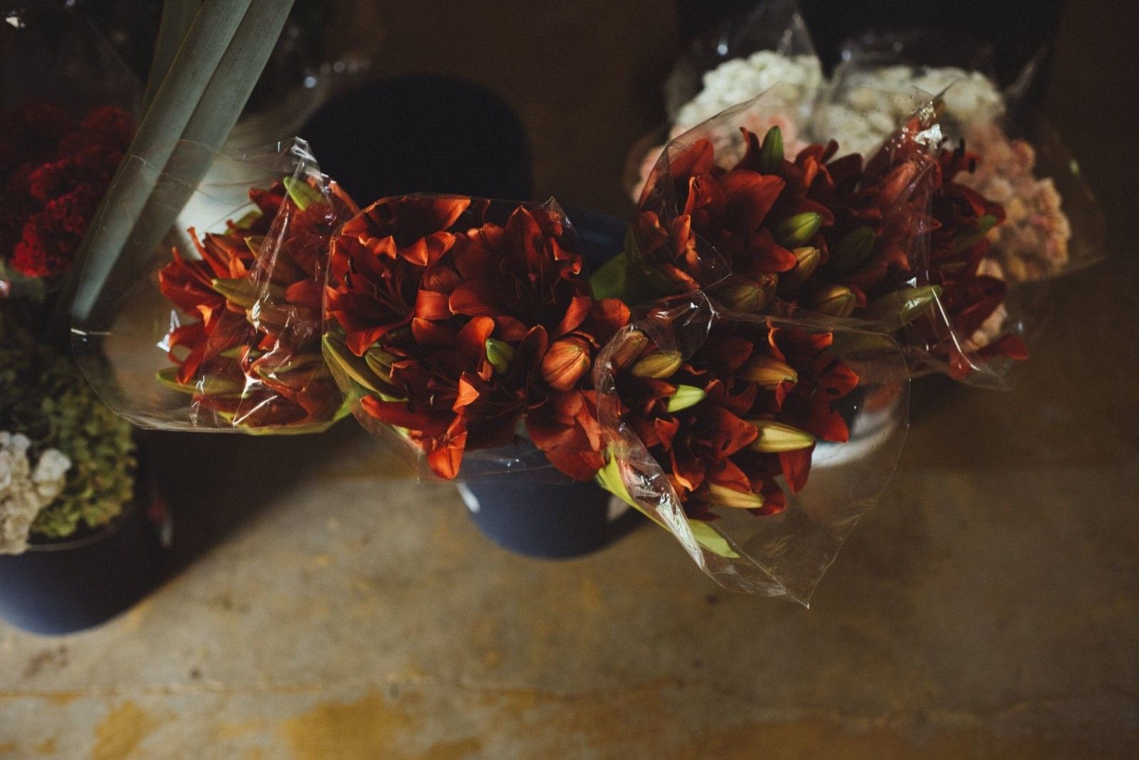 Casamento no Haras - 2 - 7