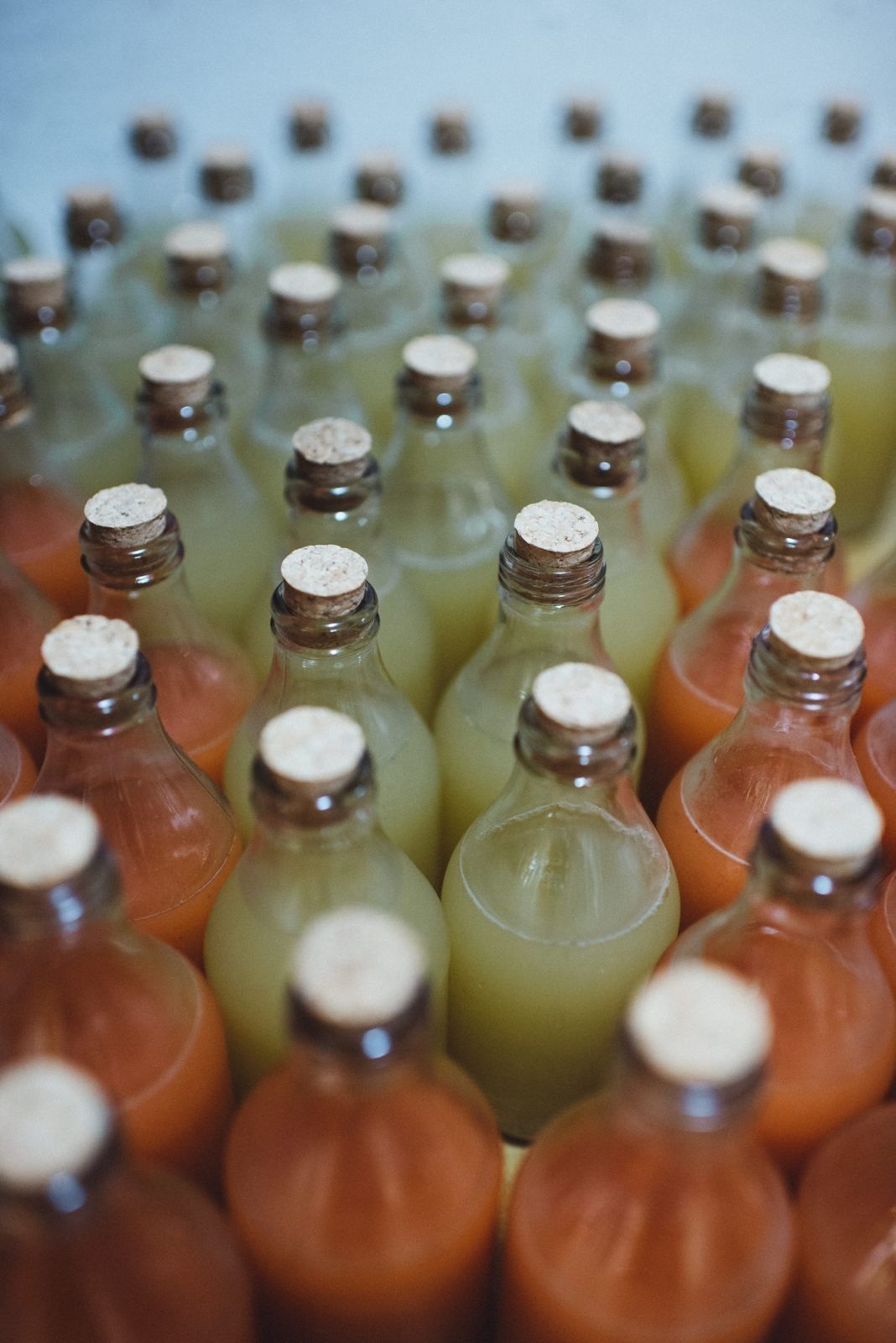 Casamento no Haras - 2 - 14