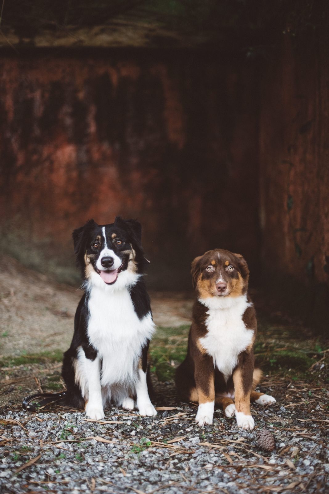 Casamento no Haras - 2 - 68