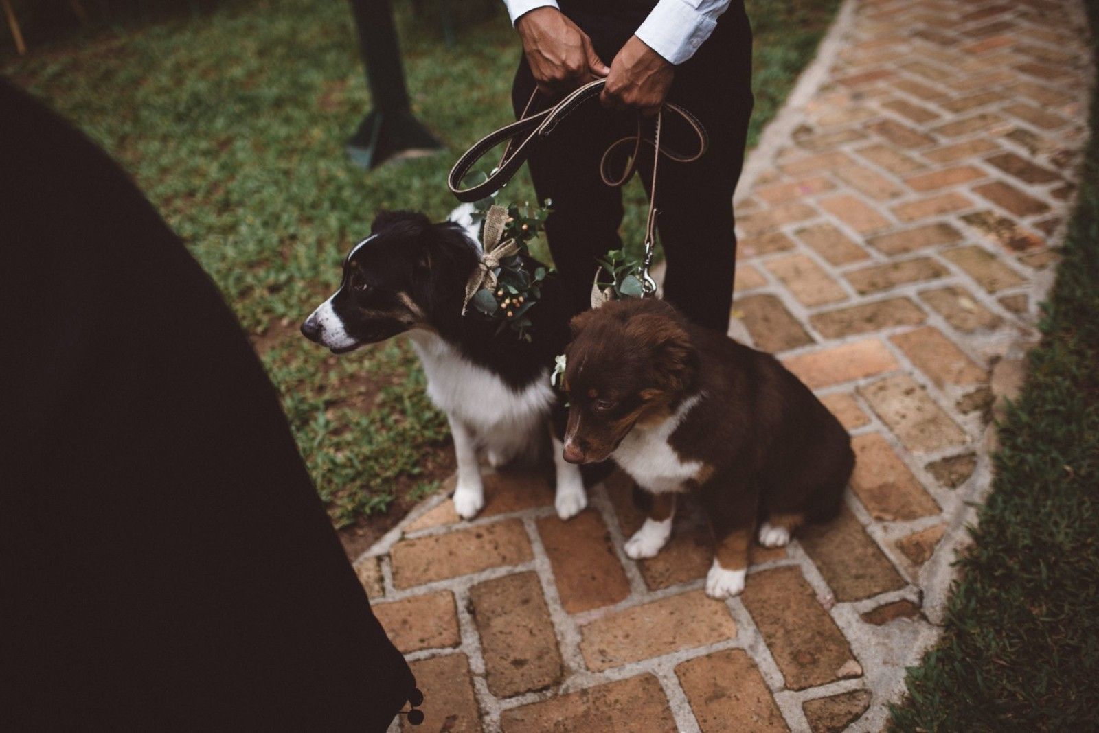 Casamento no Haras - 2 - 91