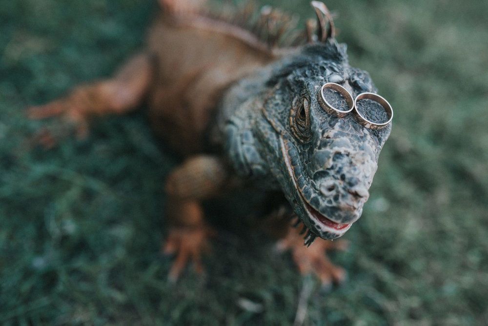 Los Hermanos - 2 - 0