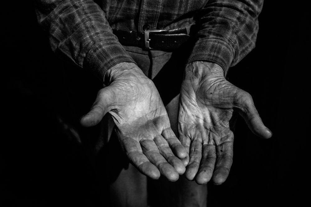 Polenta Gourmet - 2 - 0