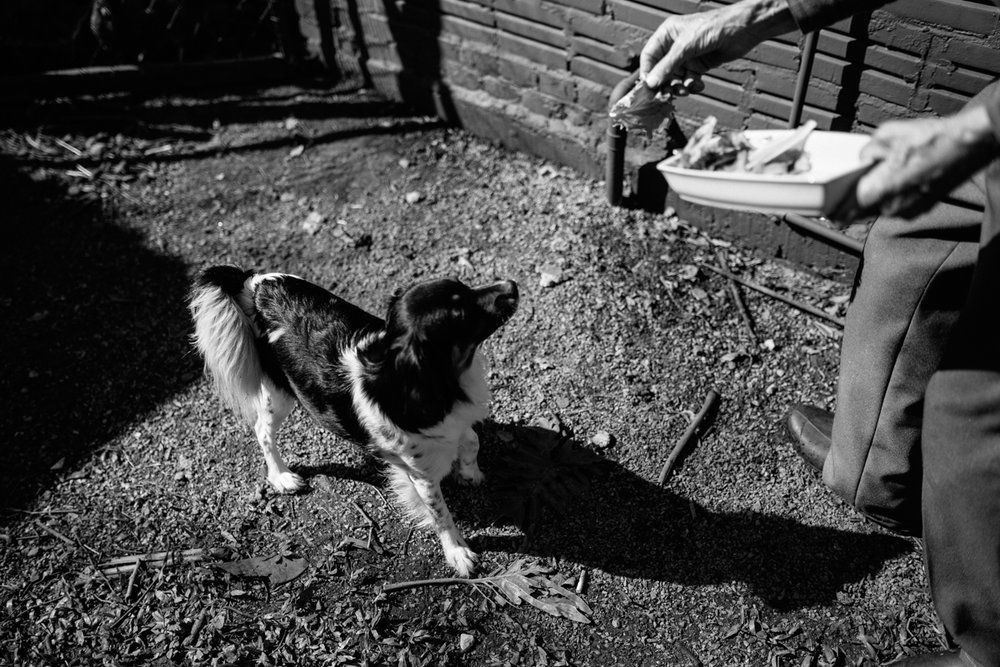 Polenta Gourmet - 2 - 21