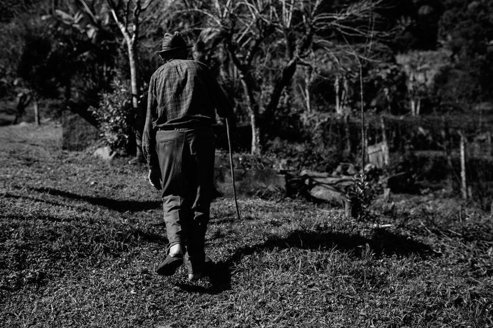 Polenta Gourmet - 2 - 22