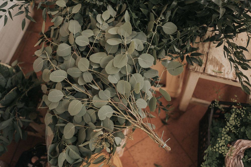 Royal Air Maroc Sucks - 2 - 115