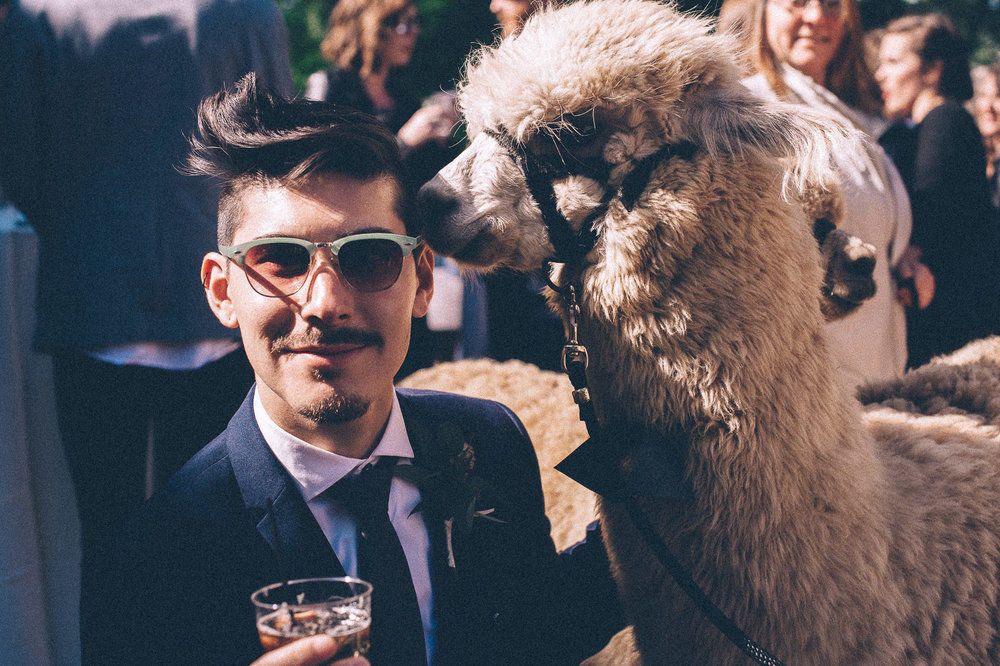 Katie & Brent - 2 - 16