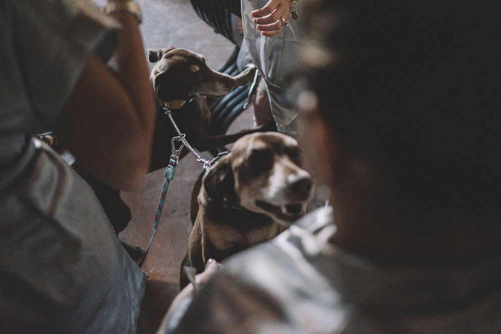 Royal Air Maroc Sucks - 2 - 184